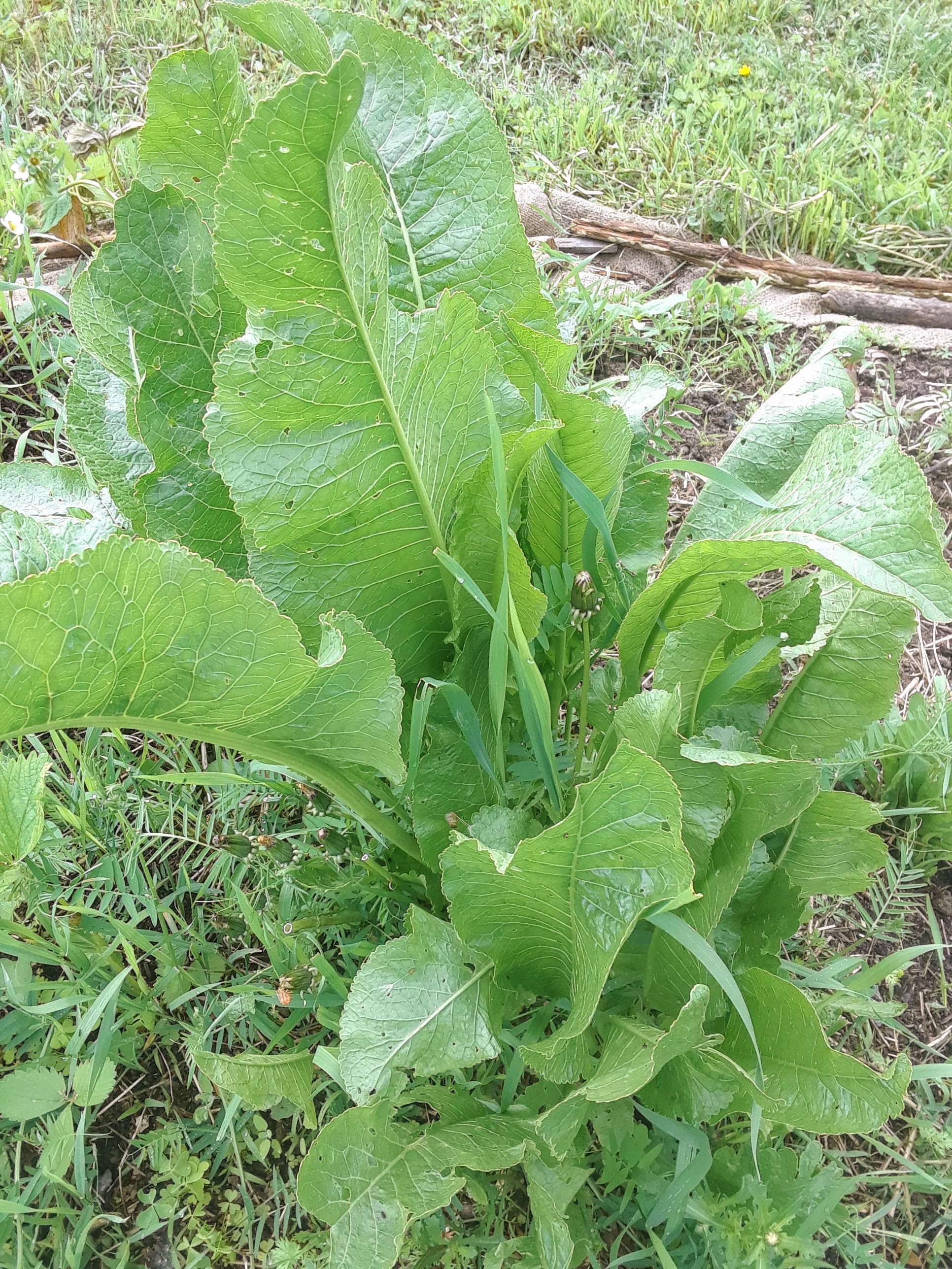 20190529_085455.jpg