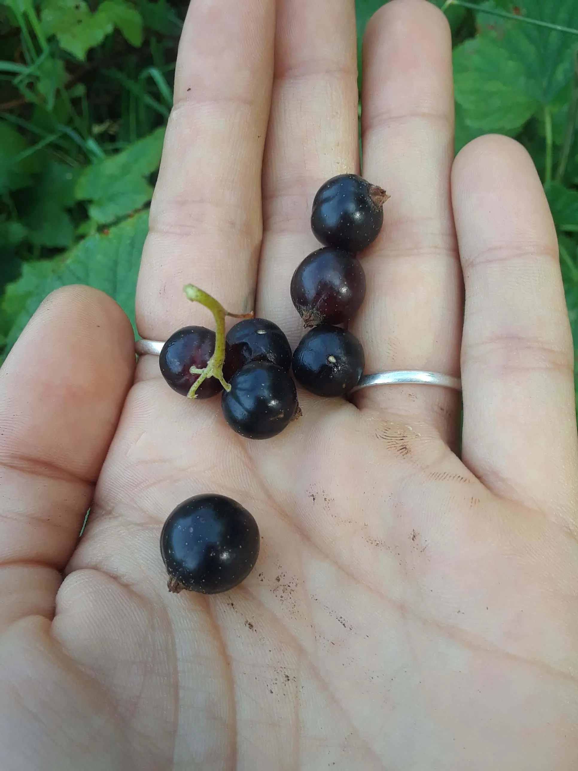 20190715_084712.jpg