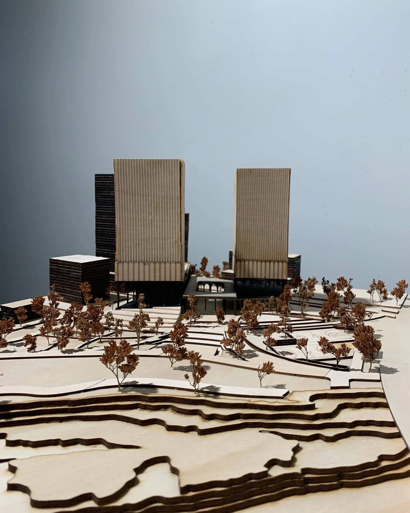 Studio III - Physical Model