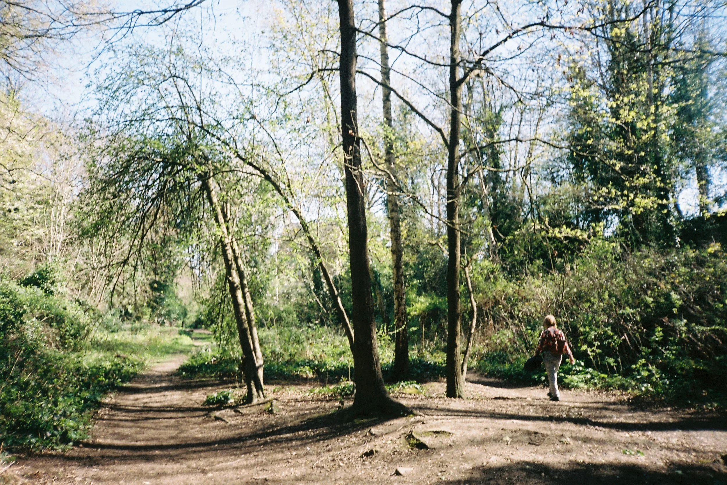 Mum. Hampstead, London.