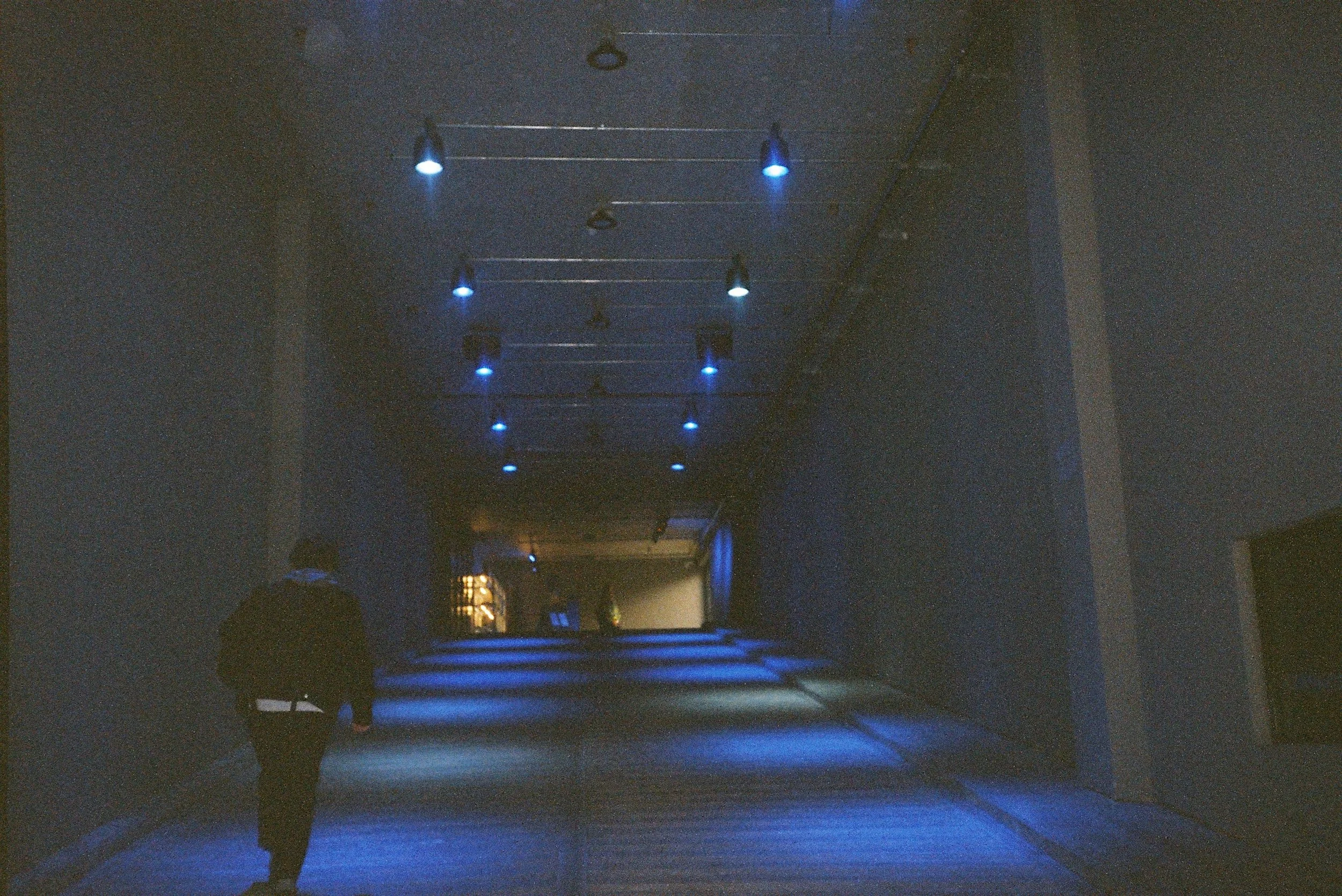 Tom. Berlin, Germany