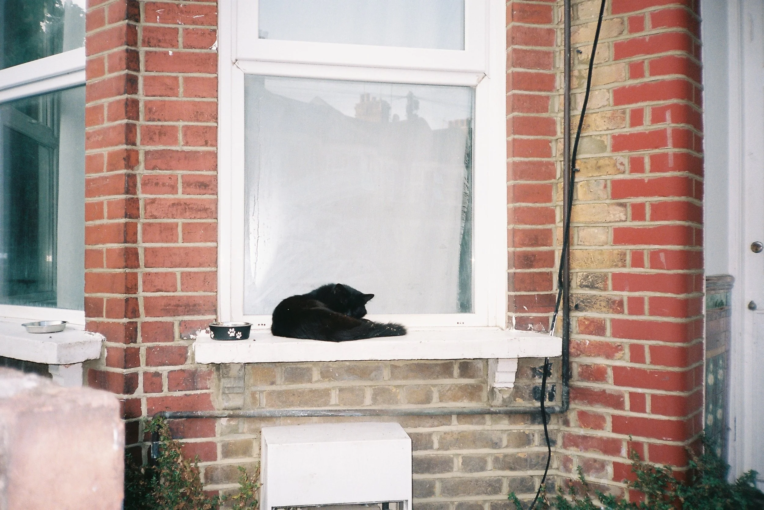 Turnpike Lane, London.