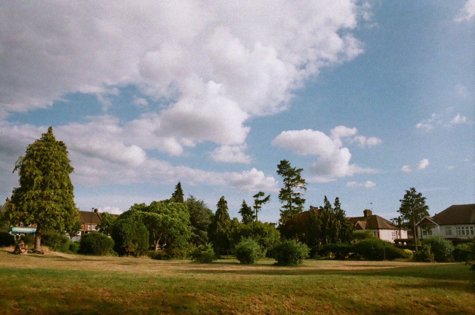 Epping Forest. Walthamstow, London.