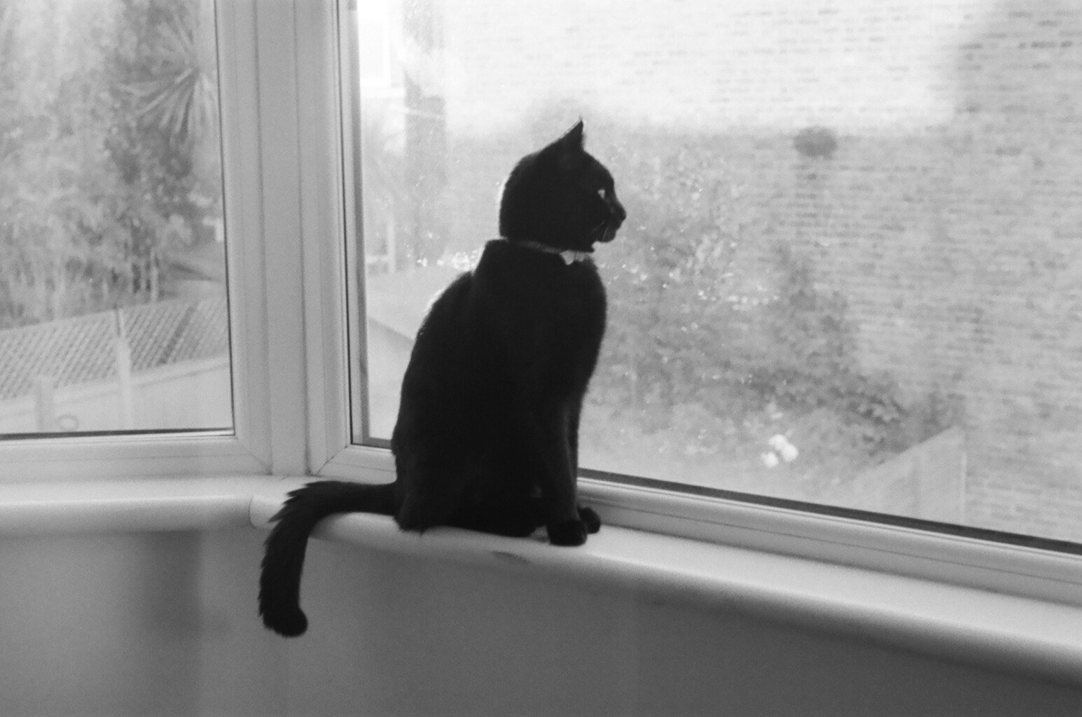 Moses. Walthamstow, London.