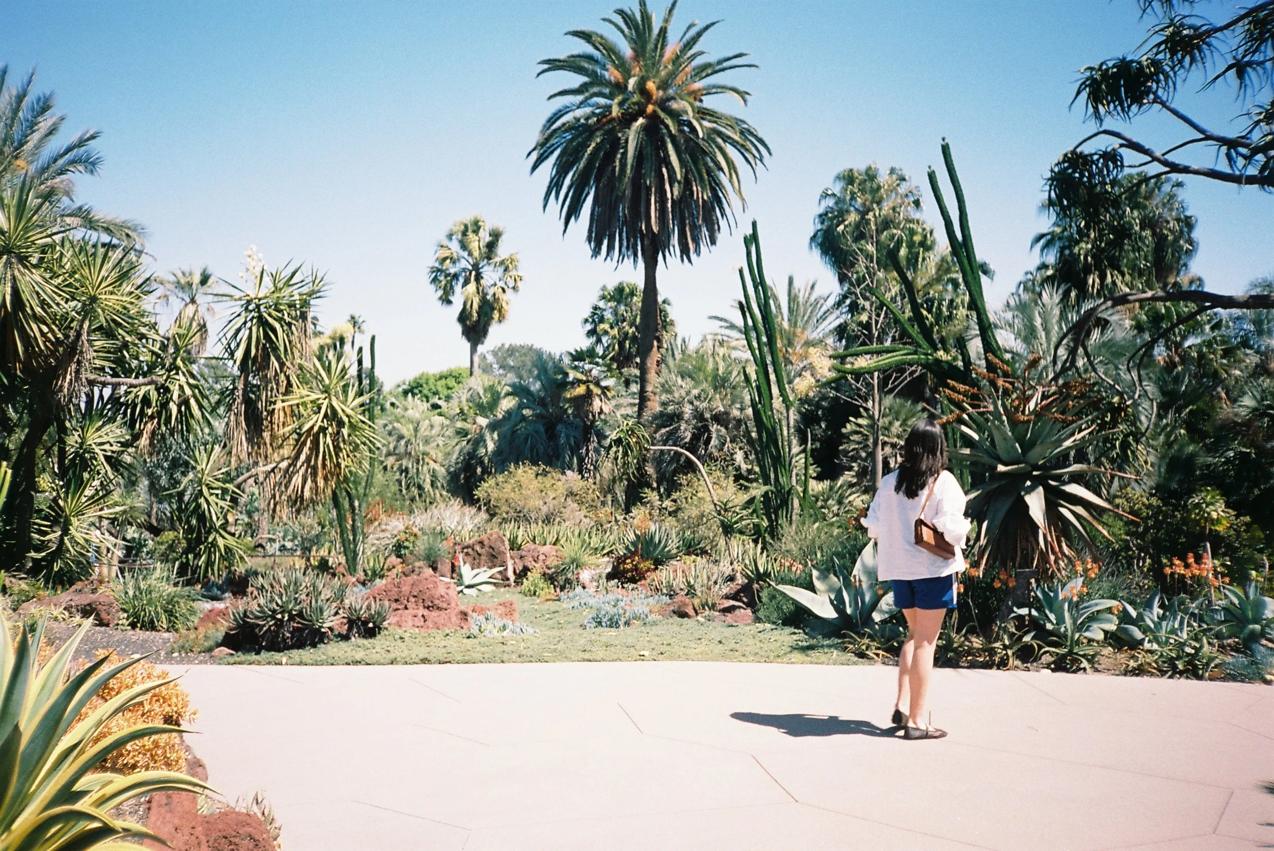 Caitlin. The Huntingdon. Pasadena, Los Angeles.