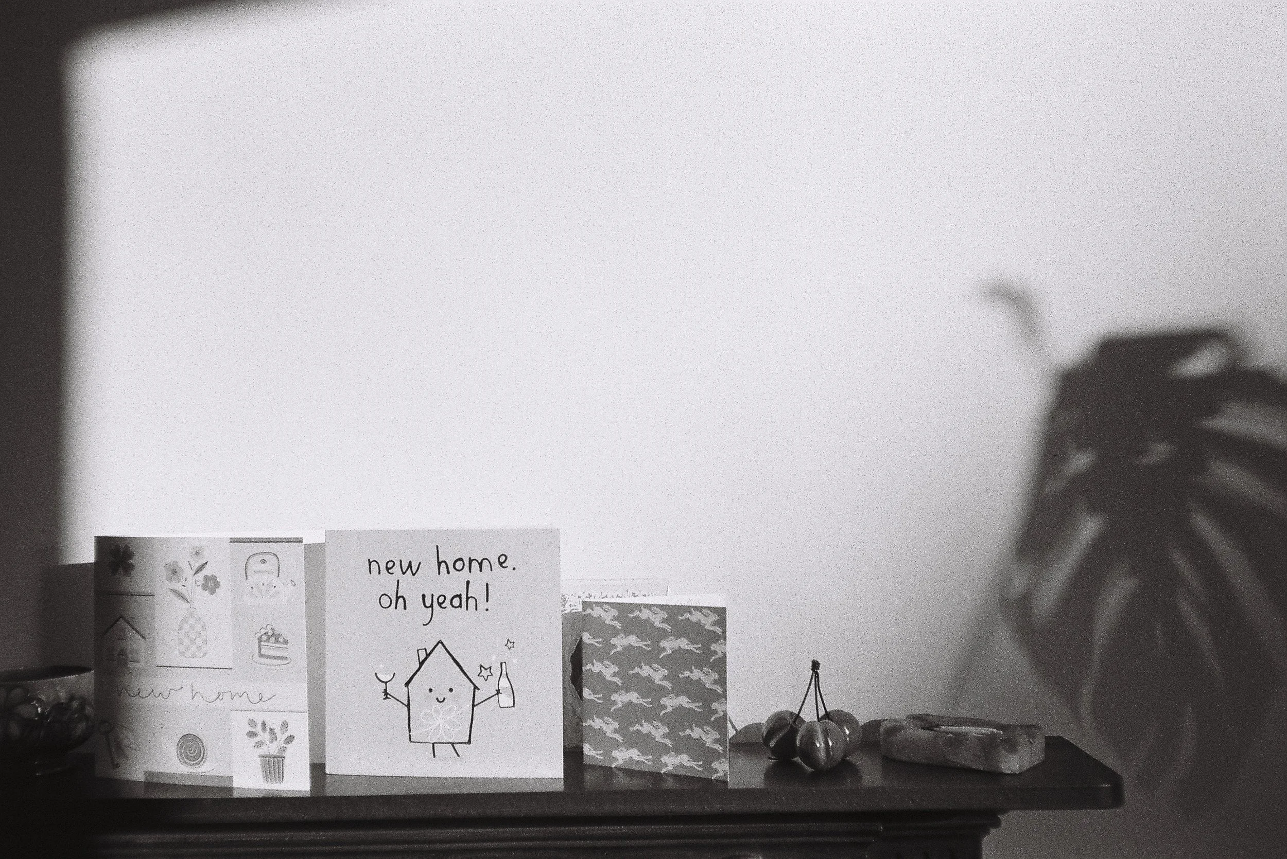 Turnpike Lane, London.