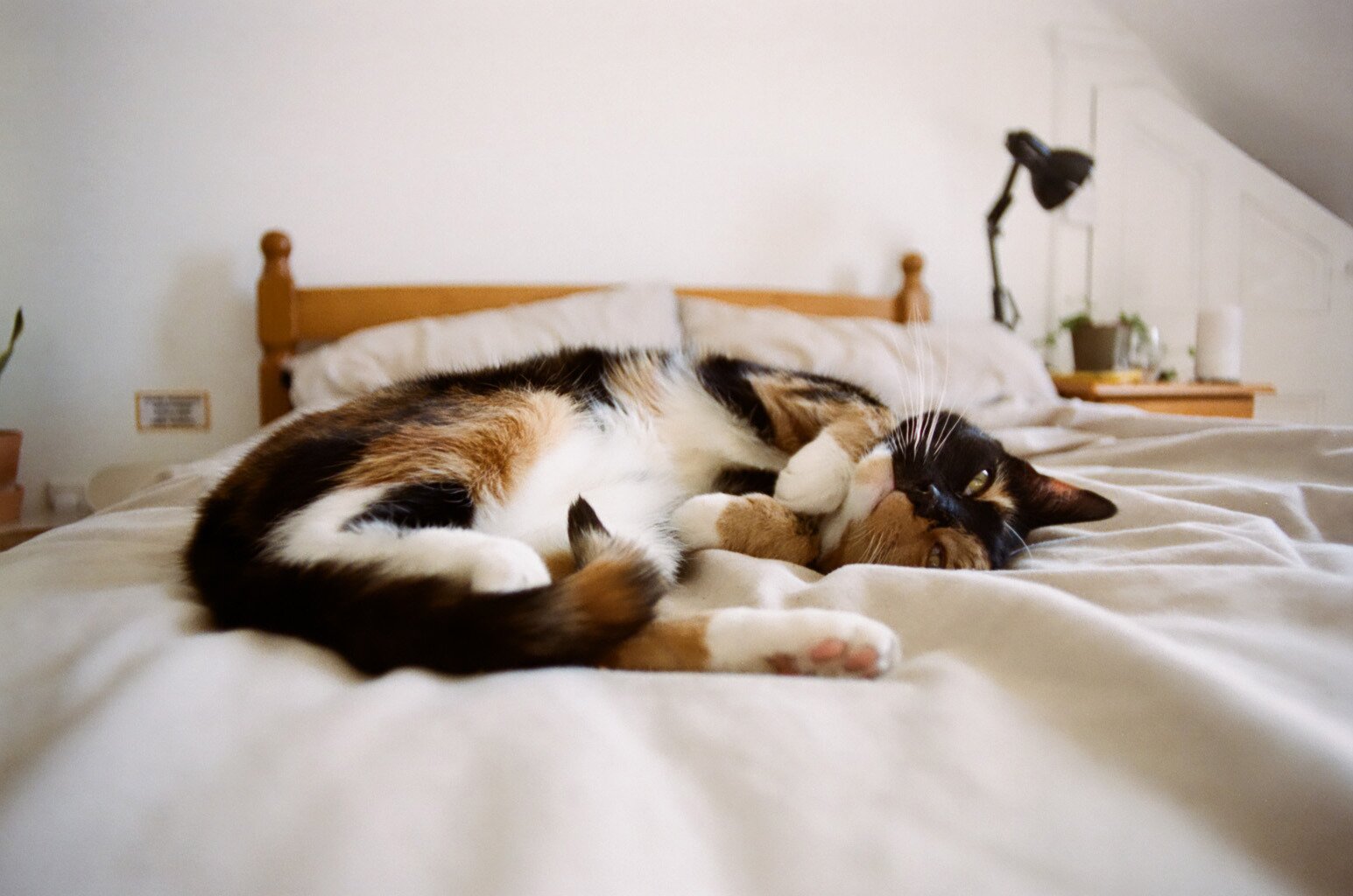 Lilian. Walthamstow, London.