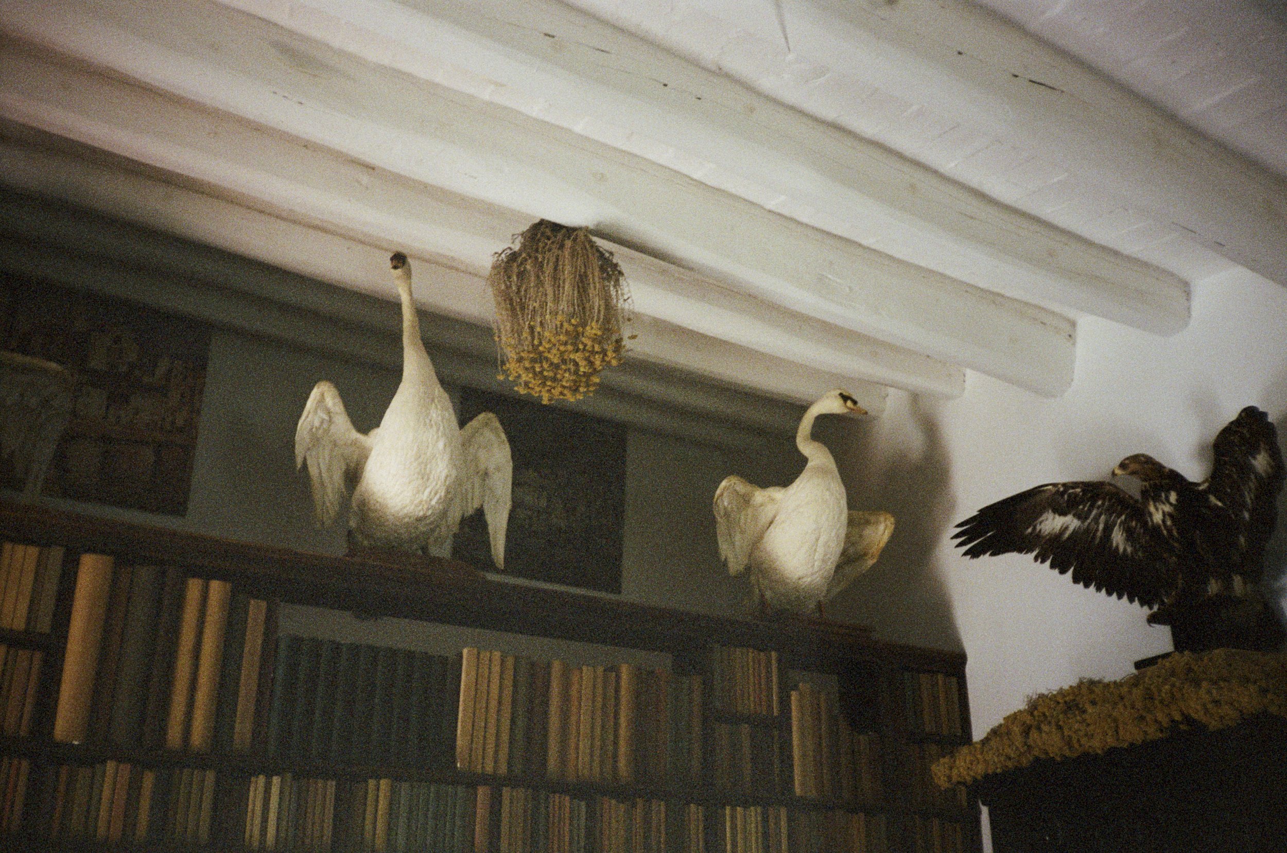 Dali's house. Cadaques, Spain.