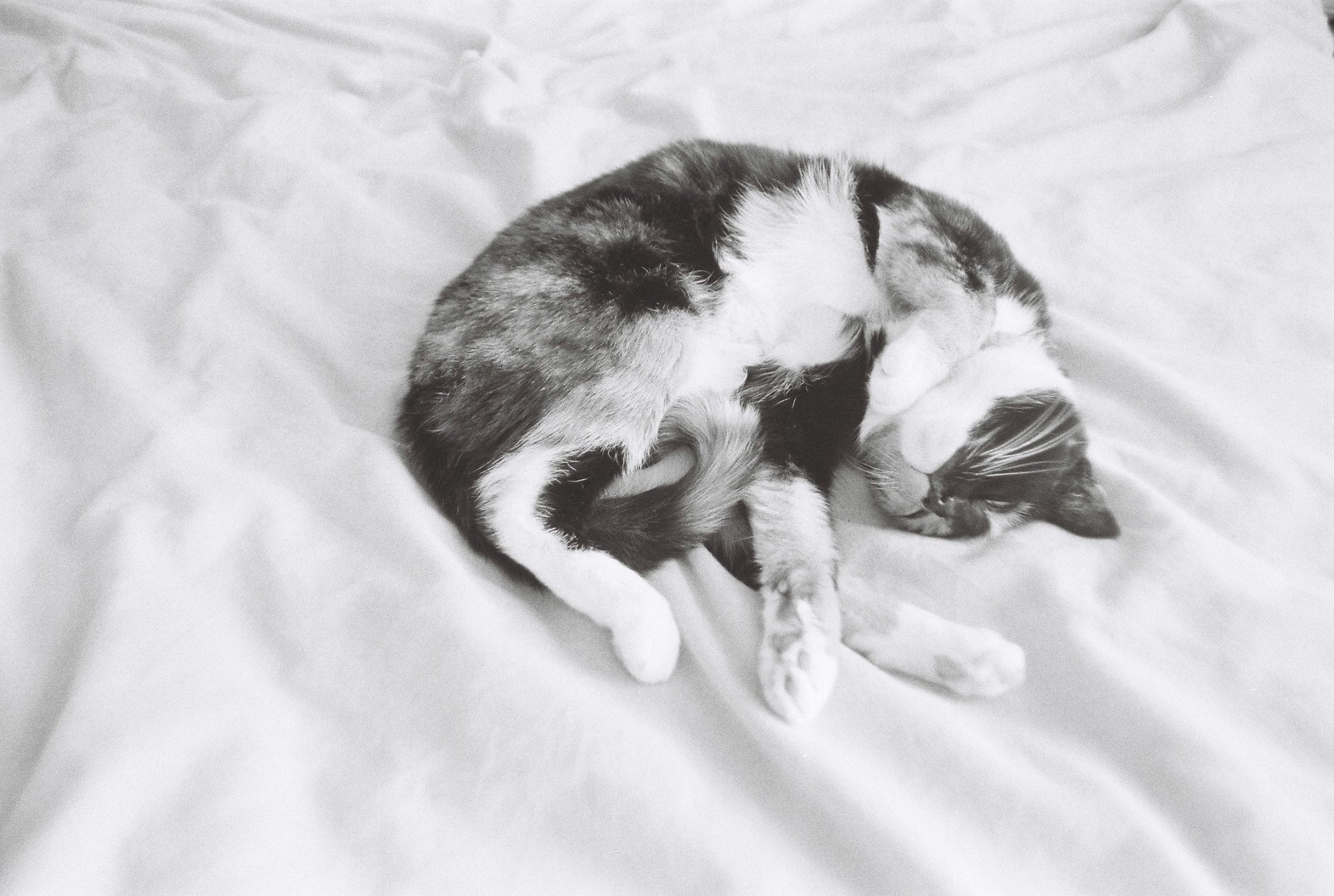 Lilian. Walthamstow, London.