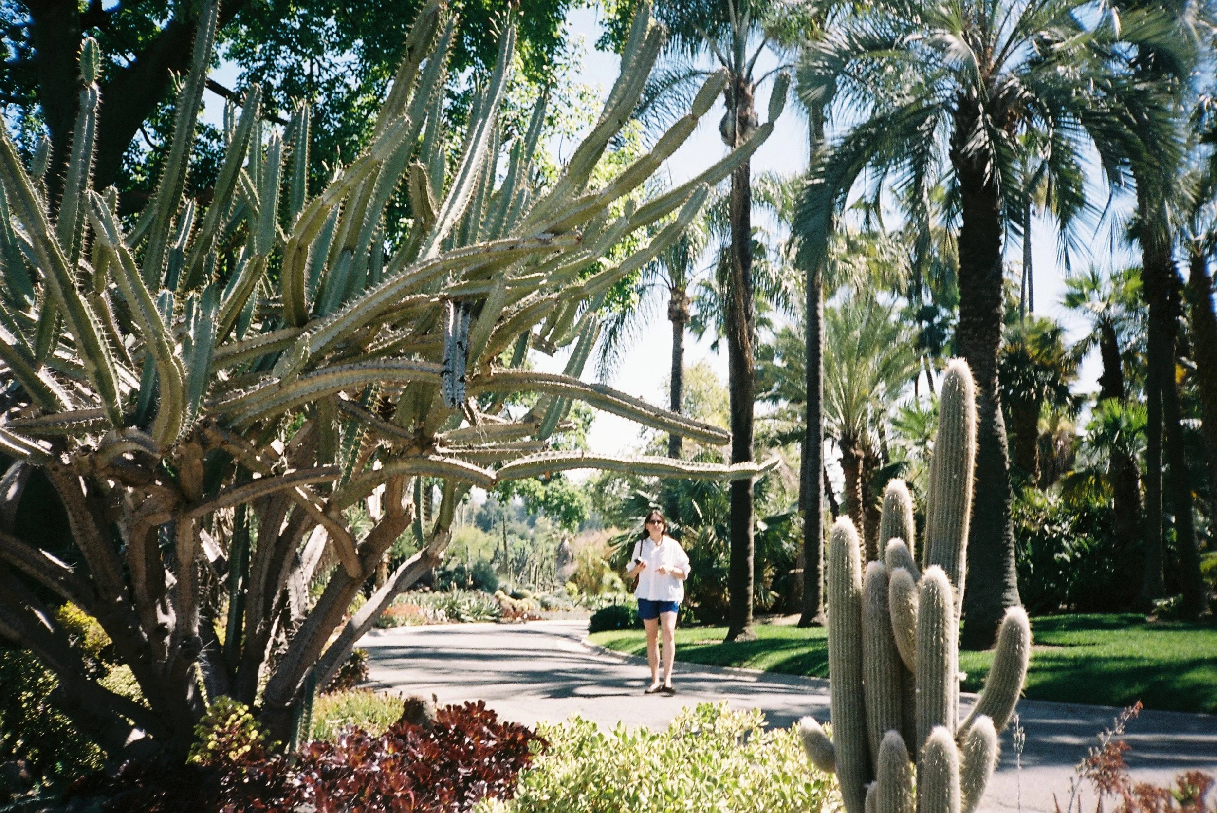 Caitlin. The Huntingdon. Pasadena, Los Angeles.