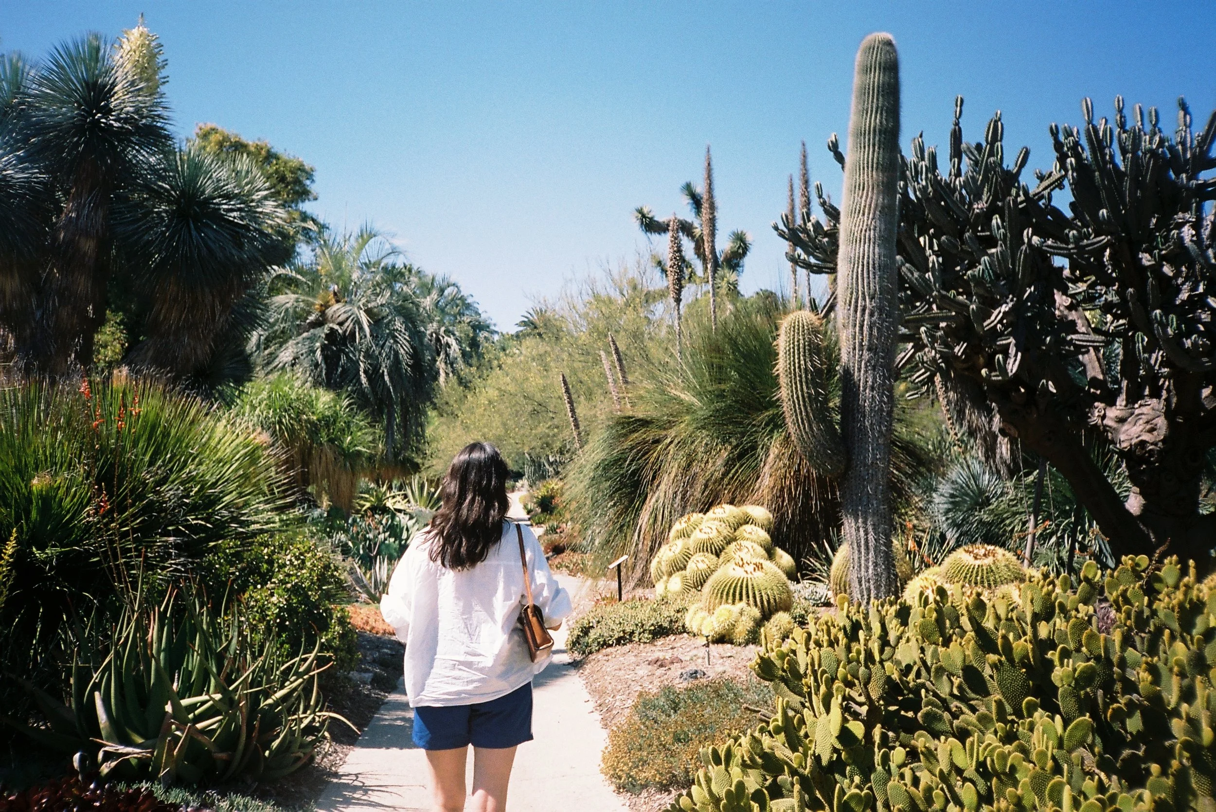 Caitlin. The Huntingdon. Pasadena, Los Angeles.