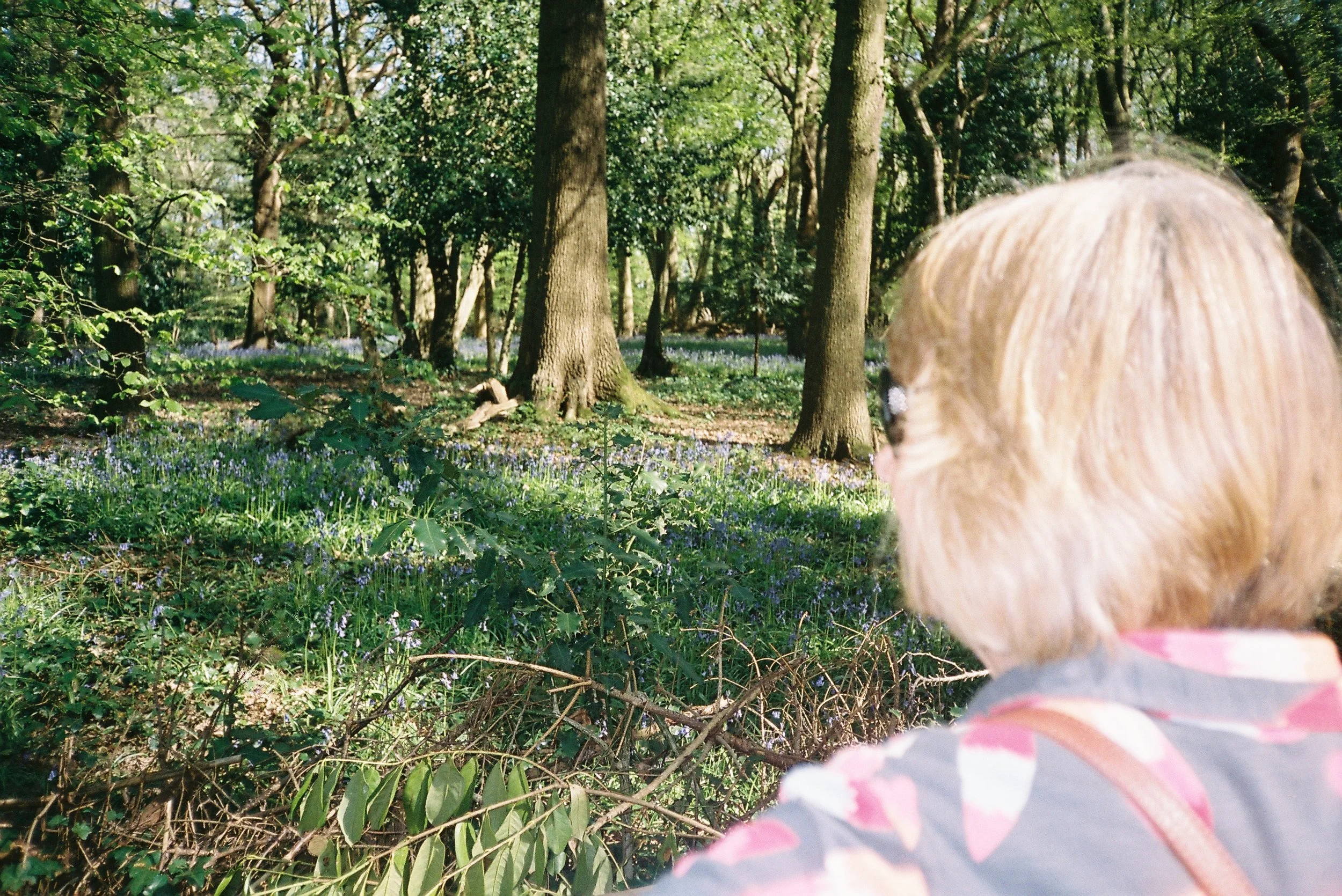 Mum. Hampstead, London.