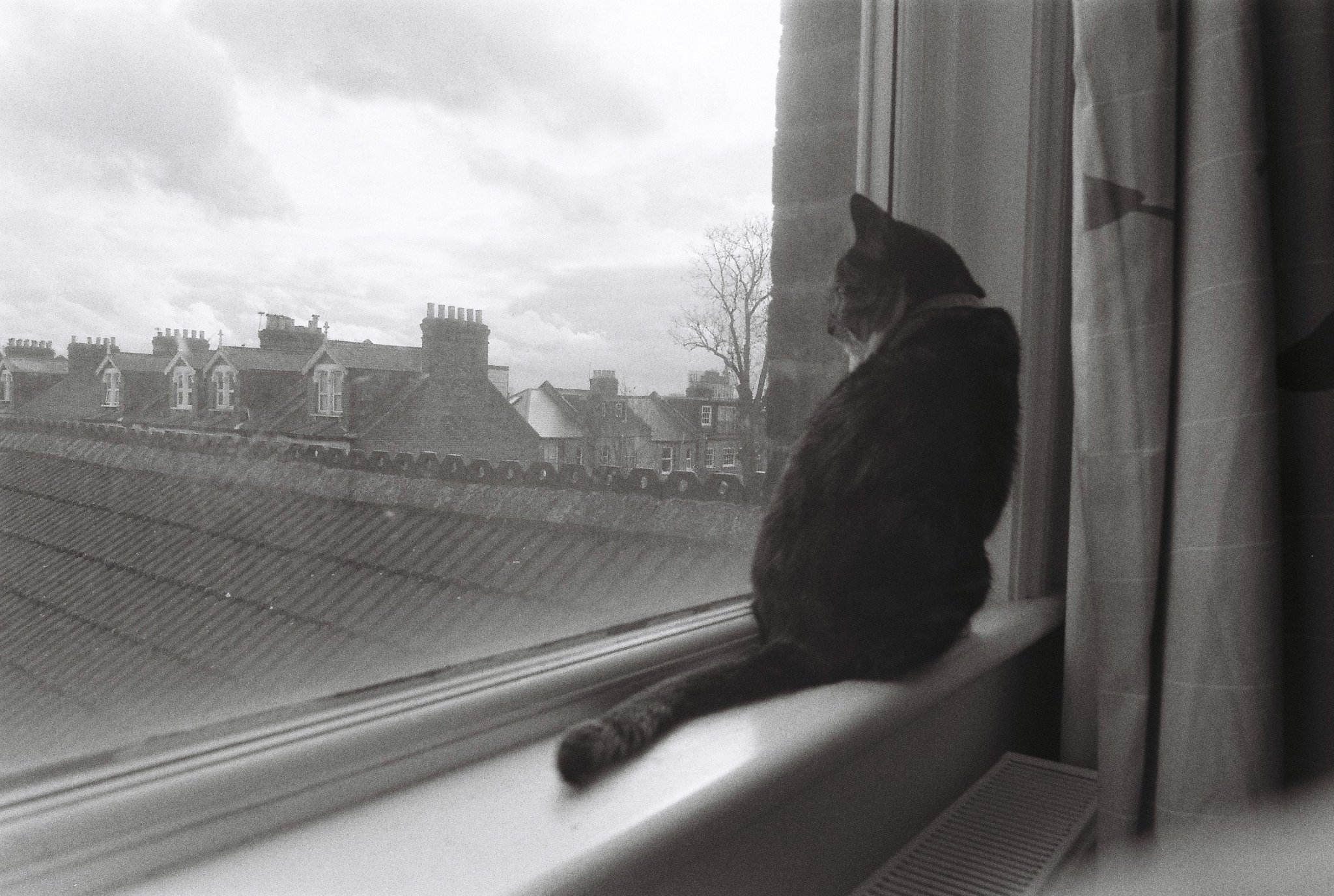Lilian. Walthamstow, London.