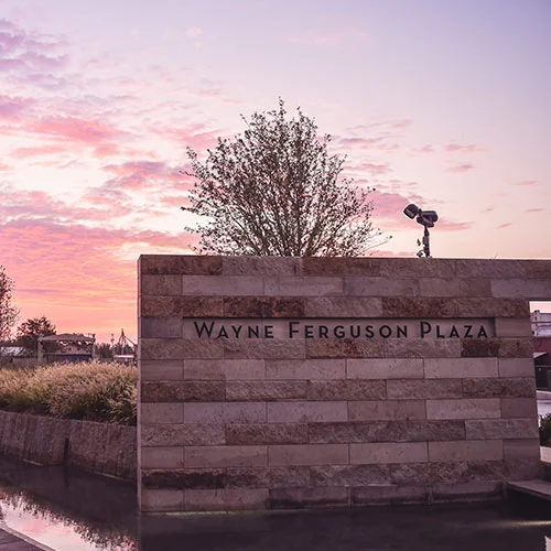 Wayne Ferguson Plaza