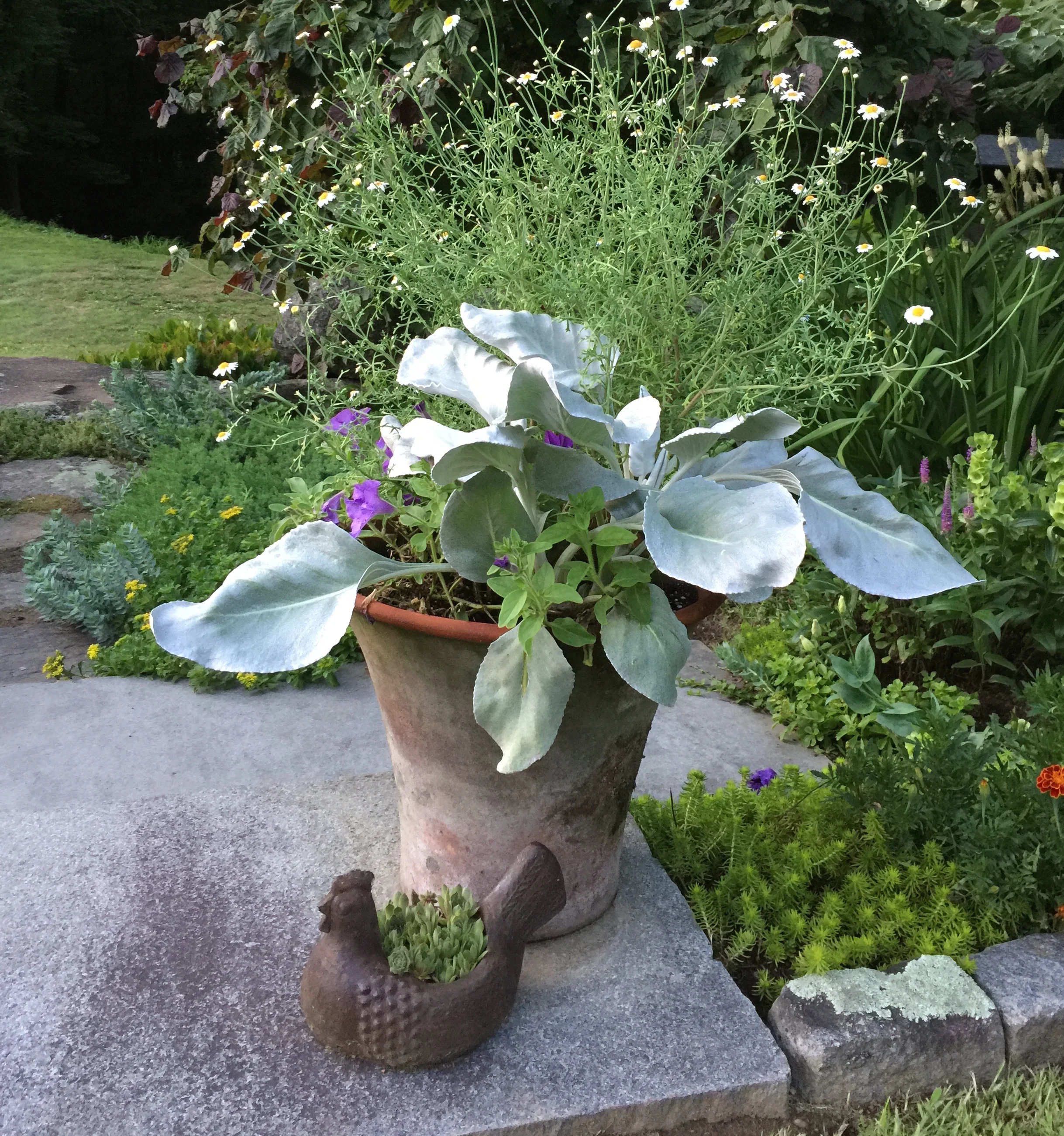 planter-and-chicken.jpg
