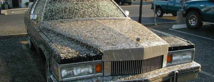 bird-droppings-3-690x266.jpg