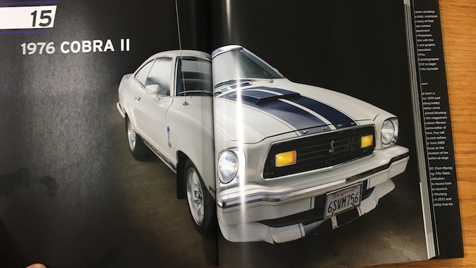 AAAA-storage-art-of-the-mustang-cobra-2.jpg