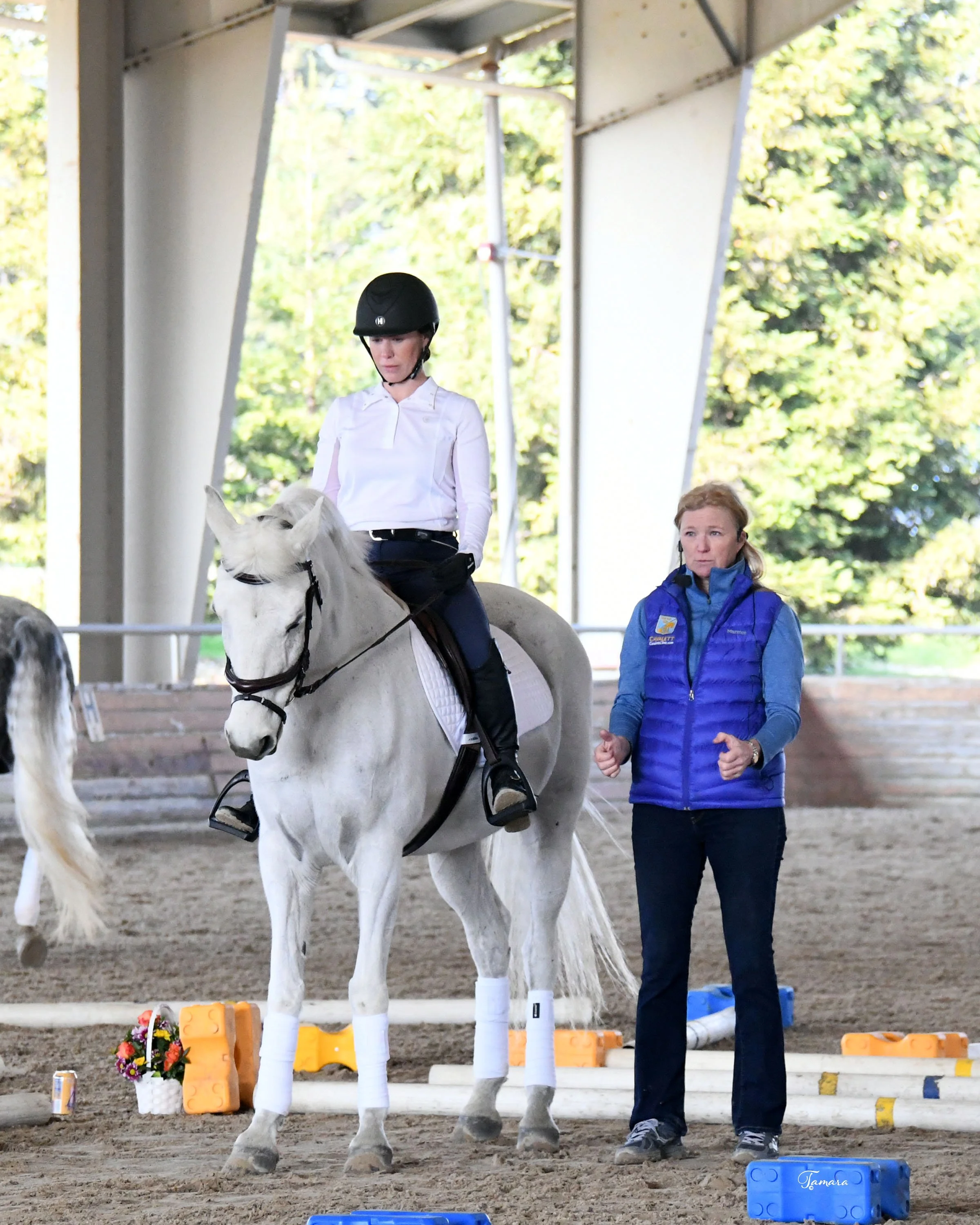 cds cavaletti 6307.jpeg