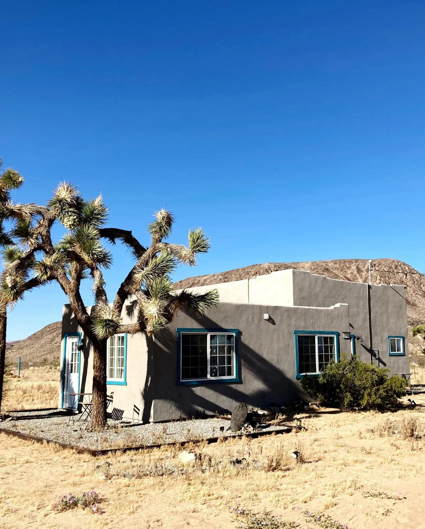 Looks like a damn good place to write a novel set in the desert 

When life gives you lemons, you&hellip;well, you know the rest 🍋

See you all on the other side 🍸