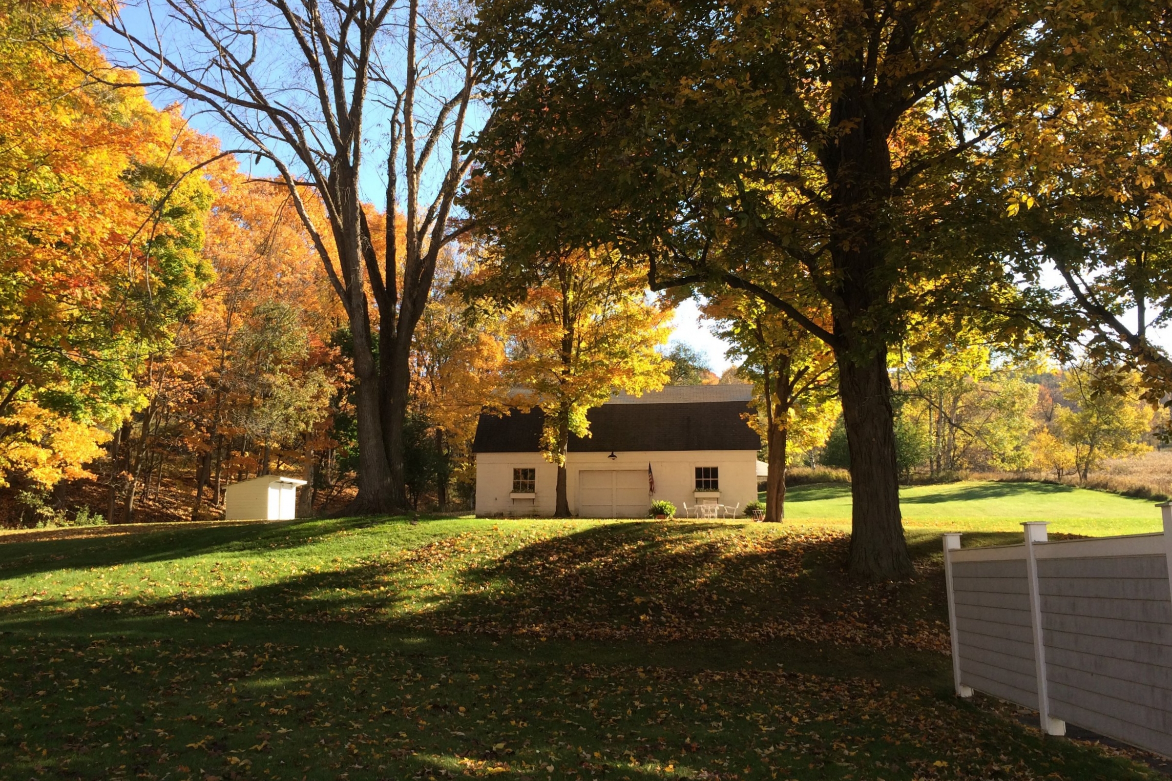 Barn from House Fall Leaves.JPG