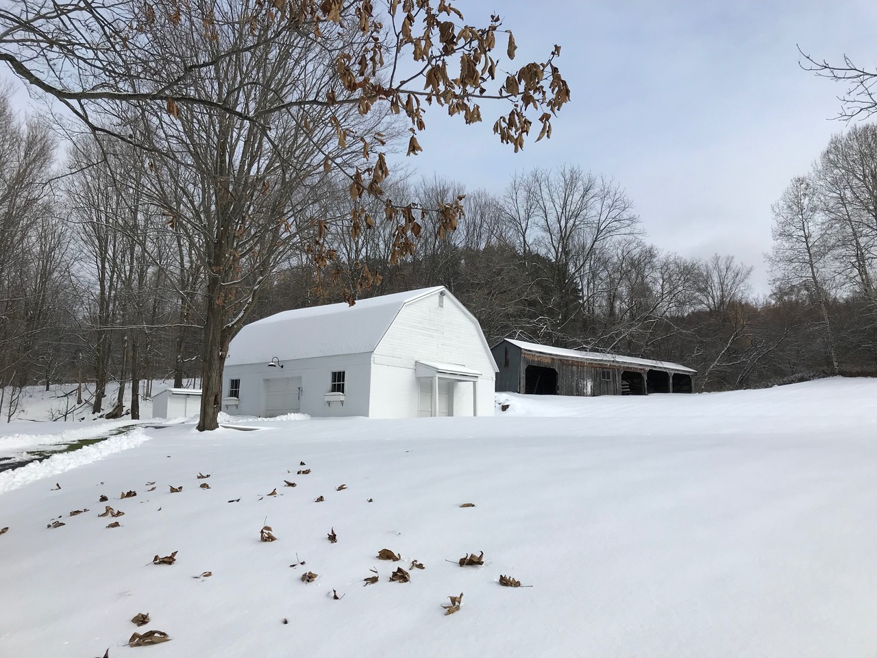 Barn in snow.jpeg