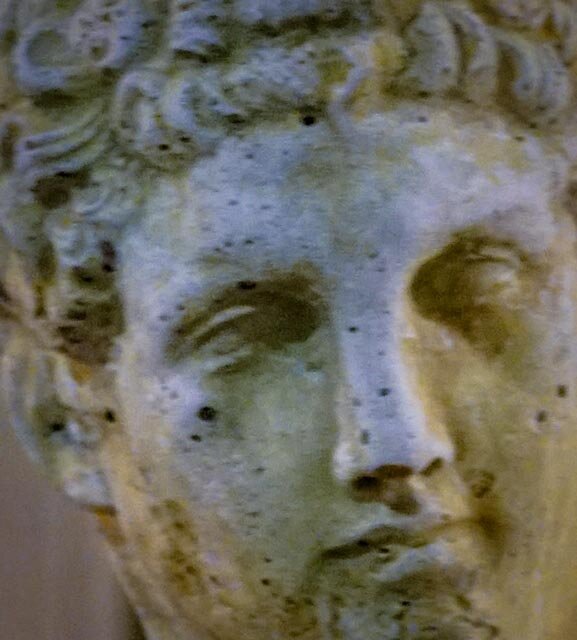 DSC06481 1.jpg