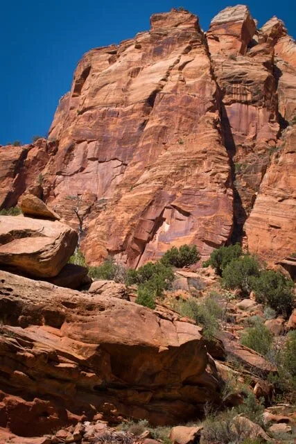 IMG_4292.jpg