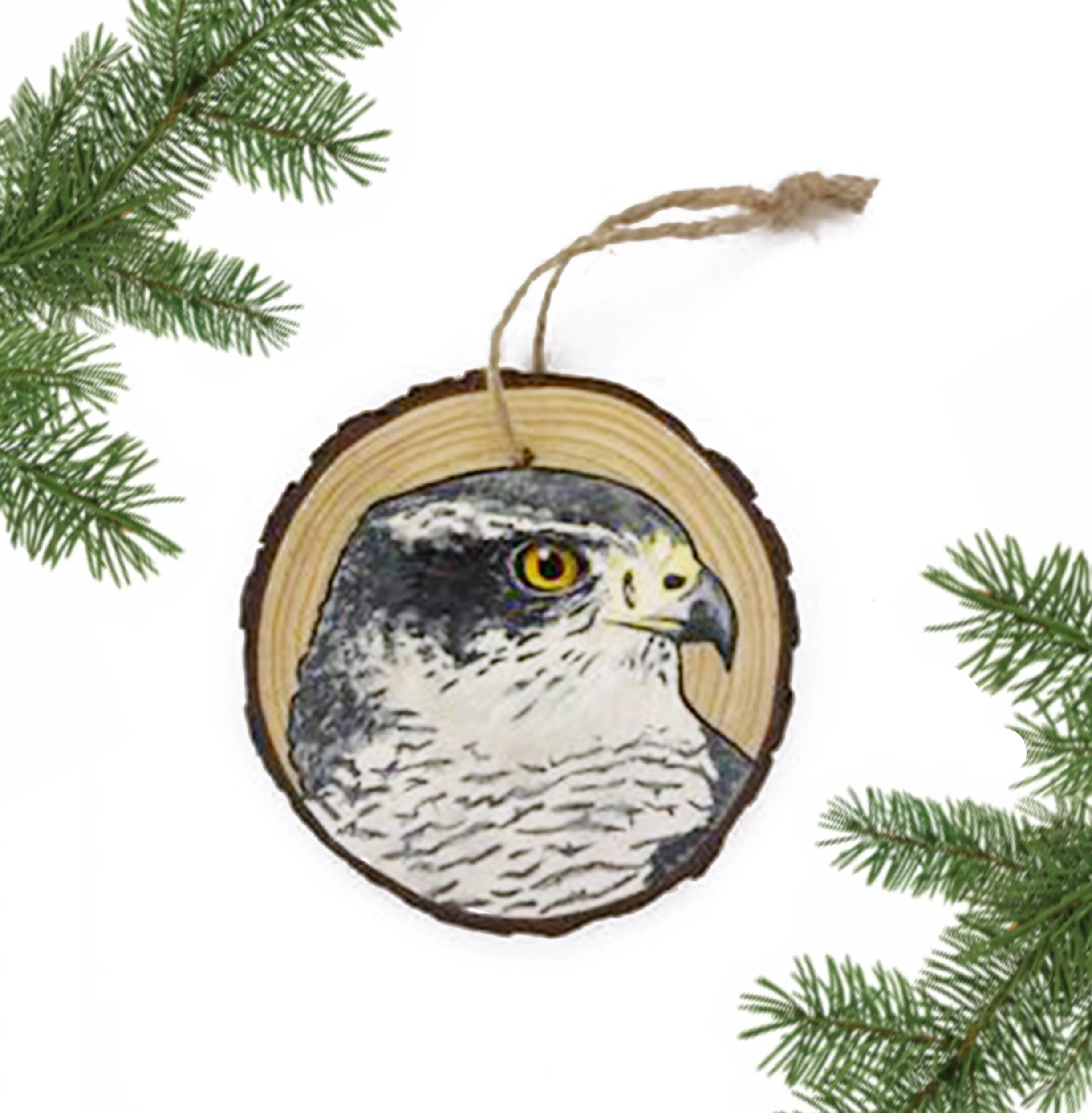 321C4EB6-3F40-4C35-9EB5-EBD9DF4F1DA0