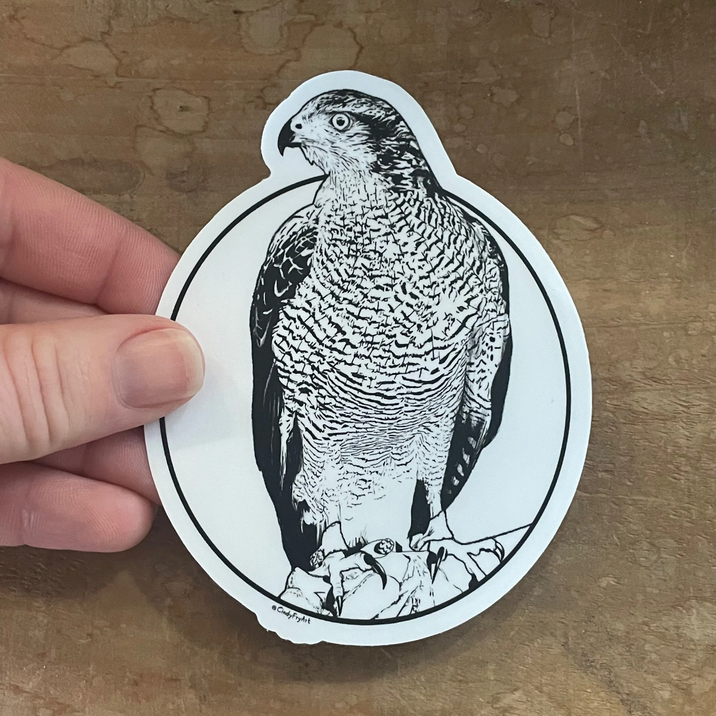 A4D33F0A-D578-42E8-92D2-CA90491FC718