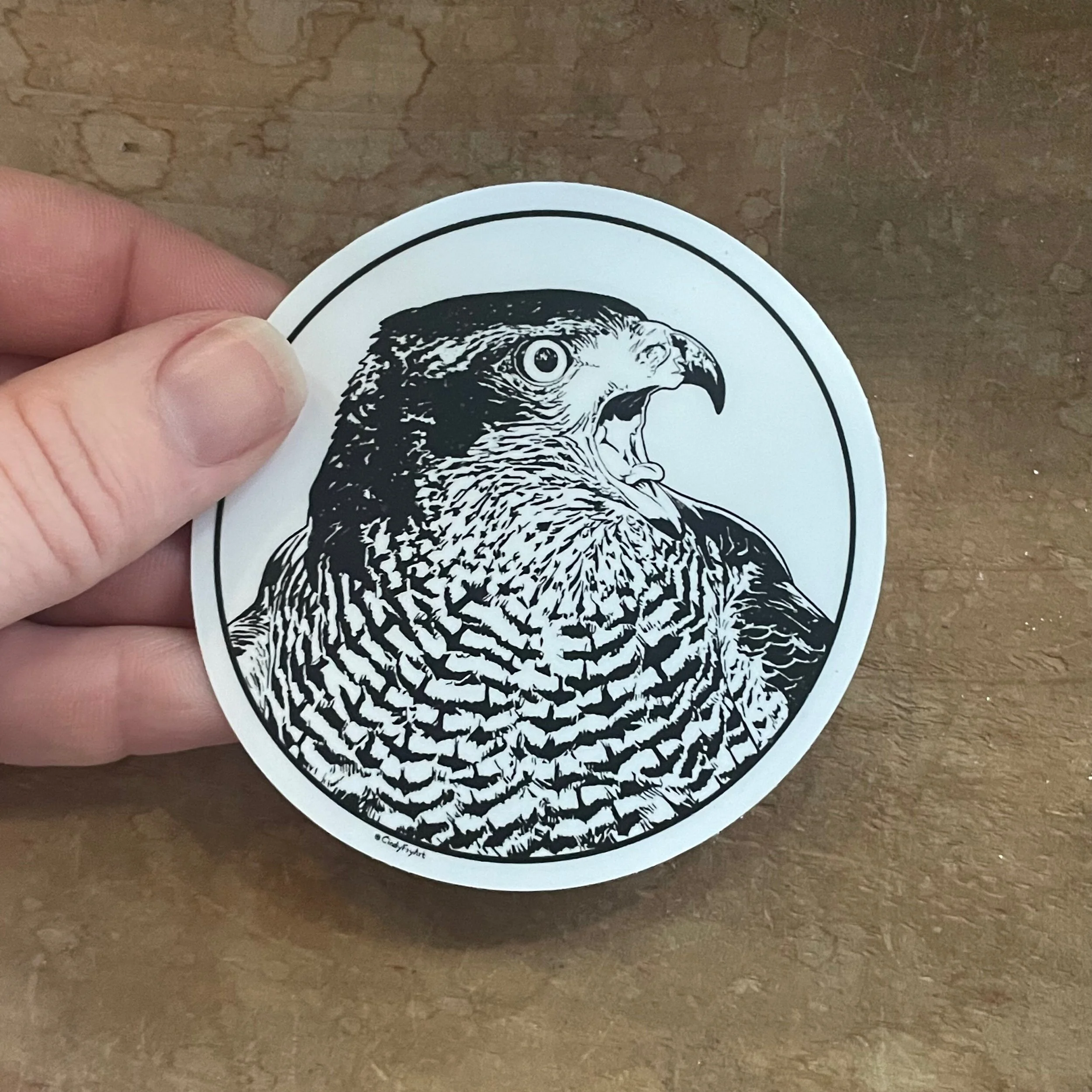 E40B11C5-C66F-4404-AEDB-90FD2F274A42