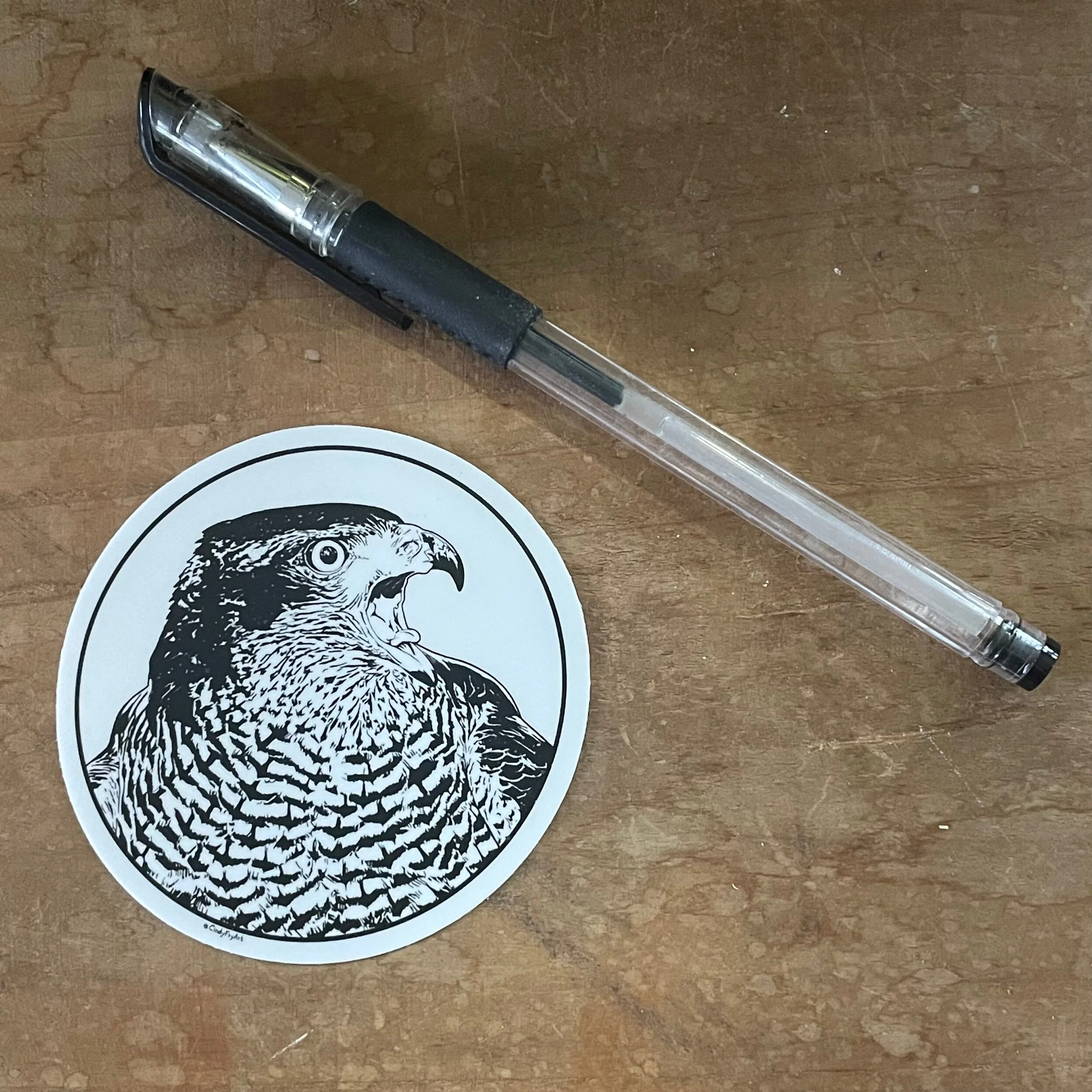 D517815A-B44F-4CC4-9E50-3AB6A1FD26B1