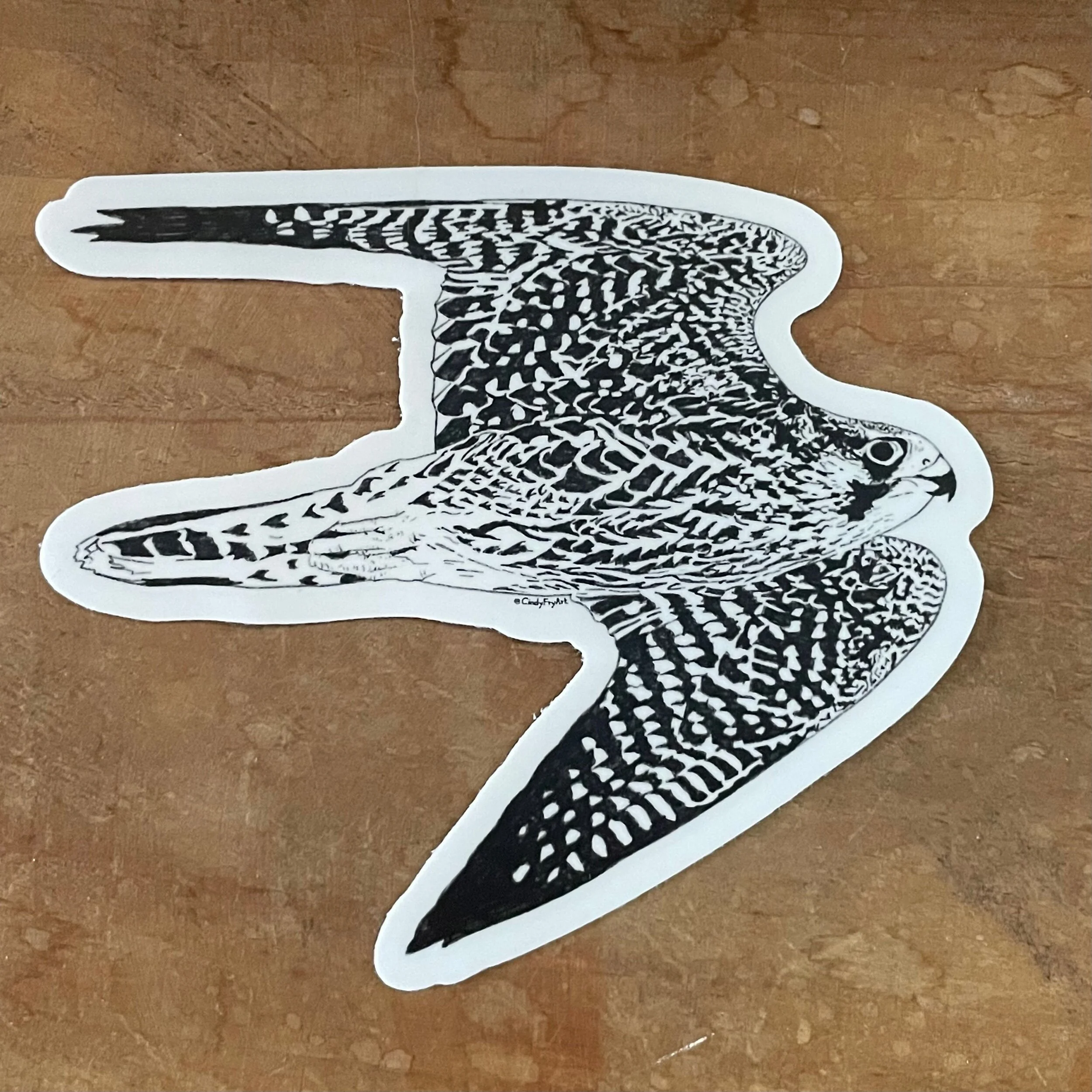 A1F157C7-FEE1-417D-9362-DFEFA0CCD779