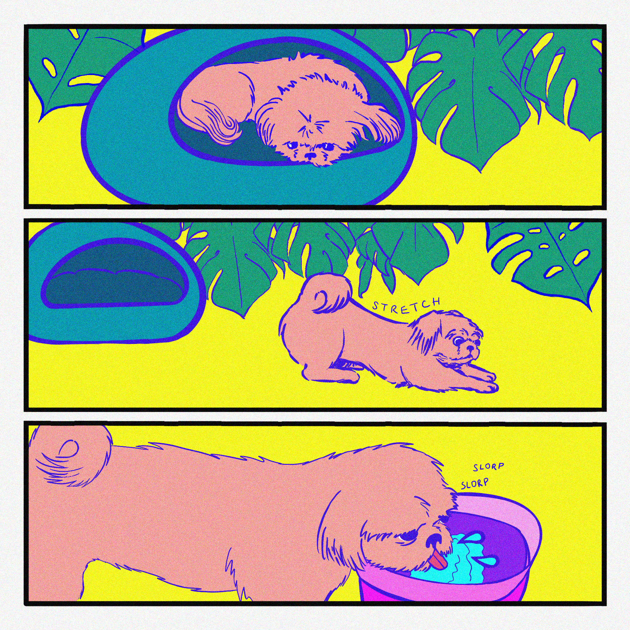page 16.png