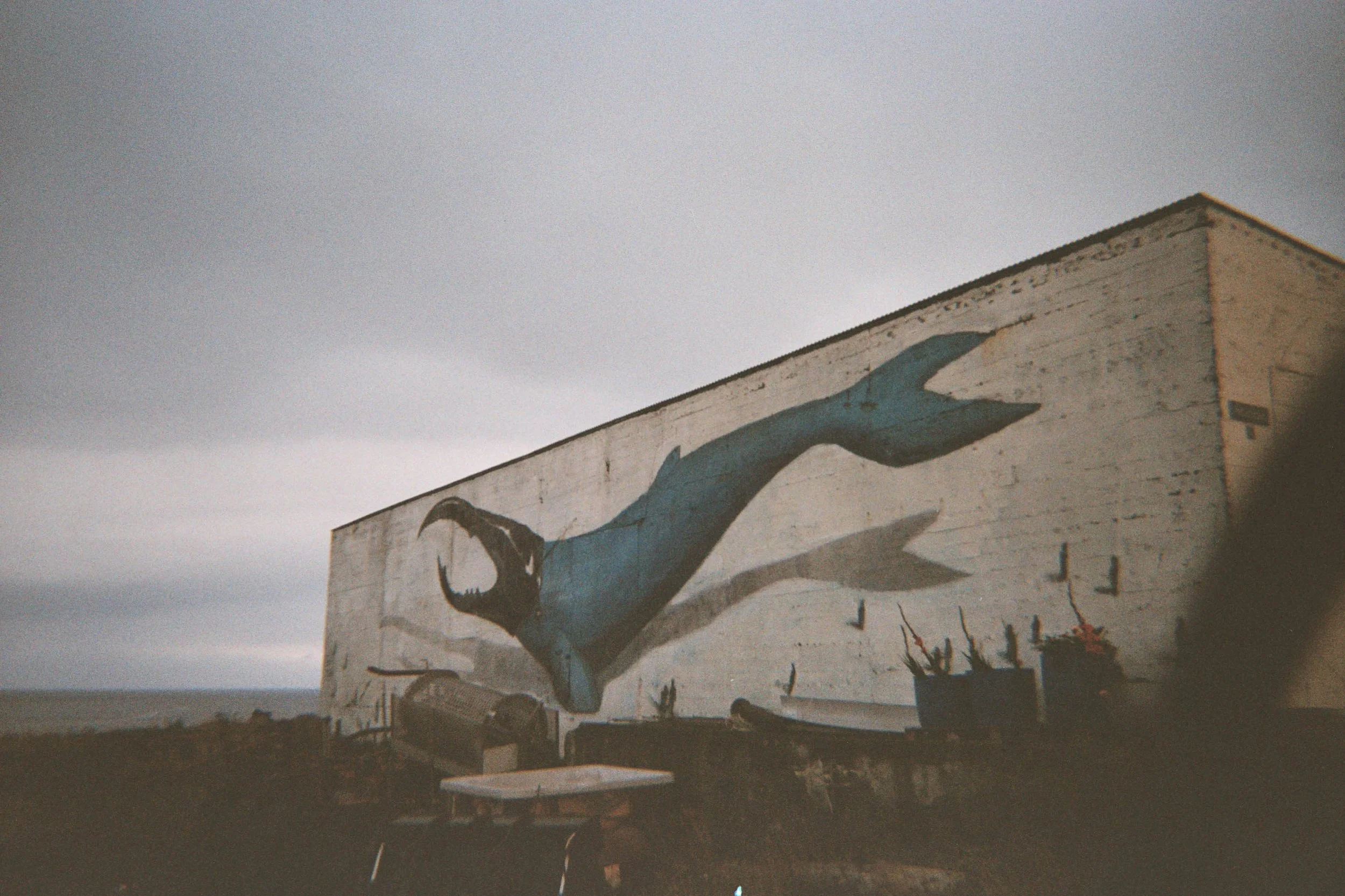 Cool Mural Near Fishing Town Rif on Snaefellsness Penninsula.jpg