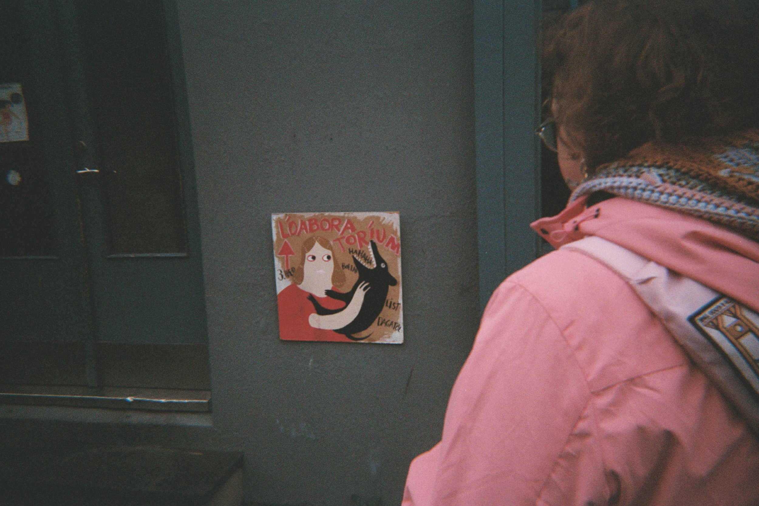 Reykjavik Street Art.jpg