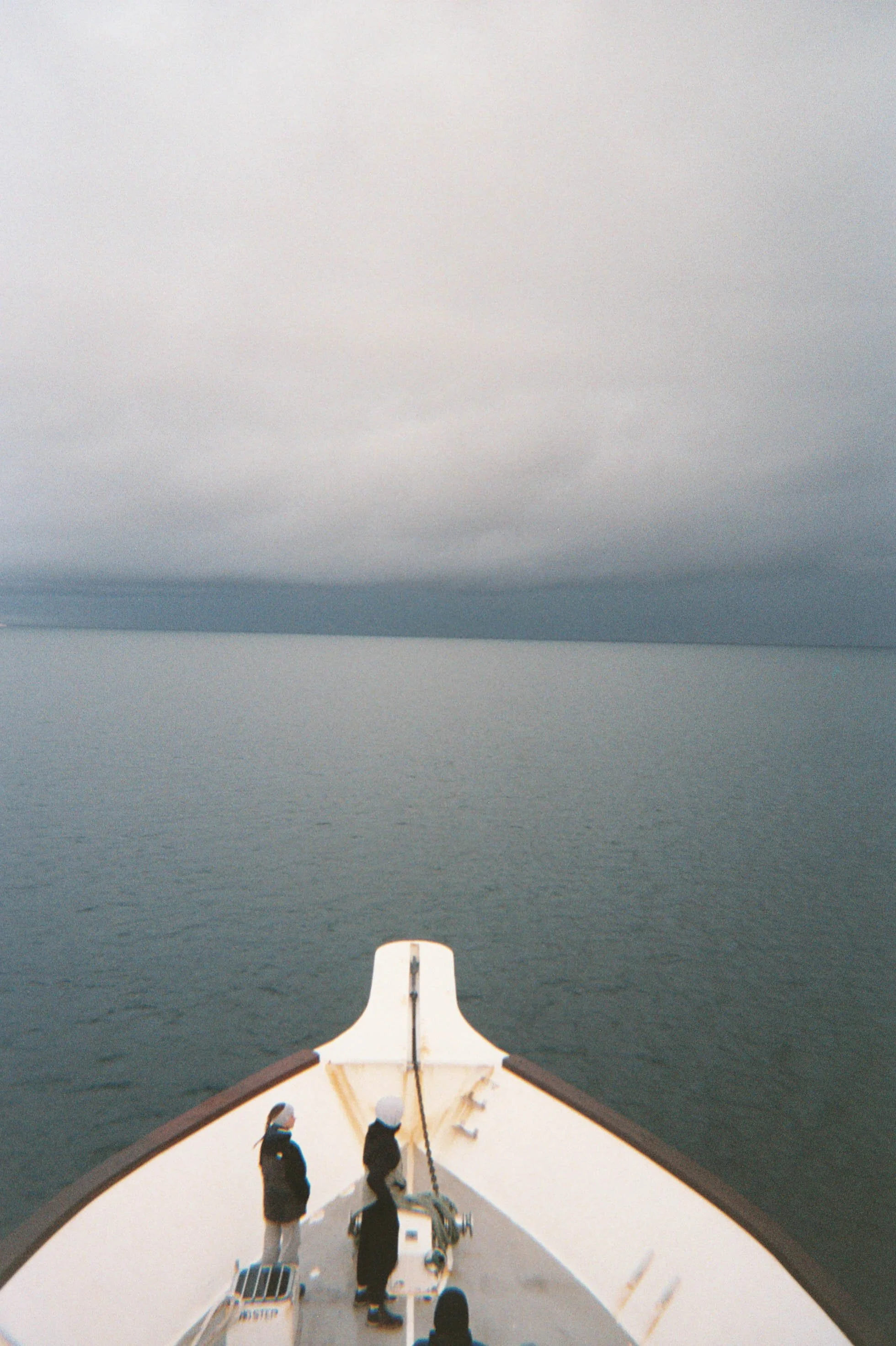 Whale Watching Near Reykjavik.jpg