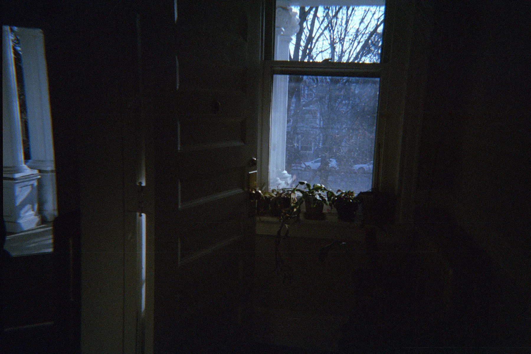 IMG_4271.JPG