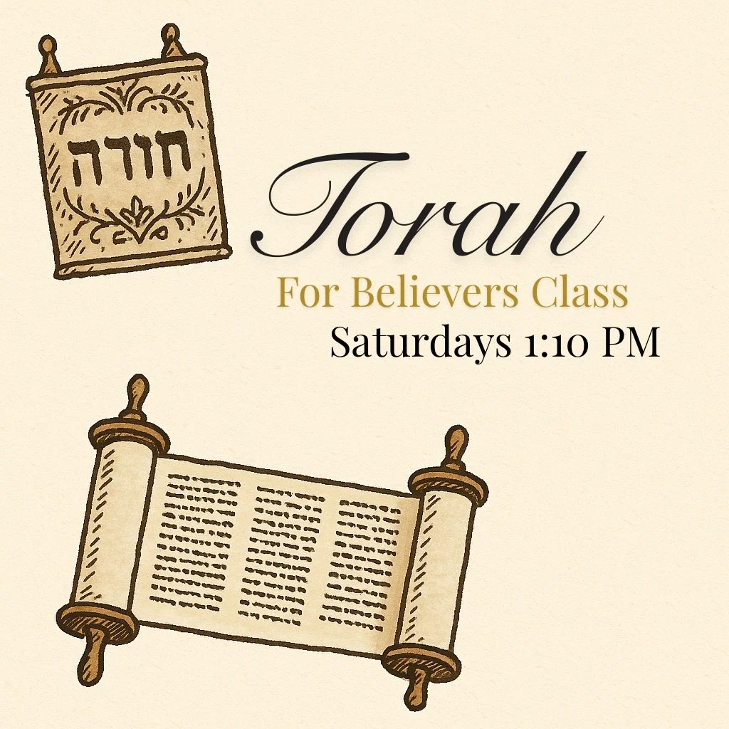 Torah For Believers 