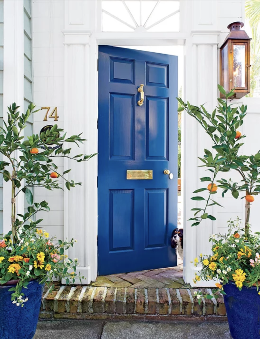 You Should Paint Your Front Door