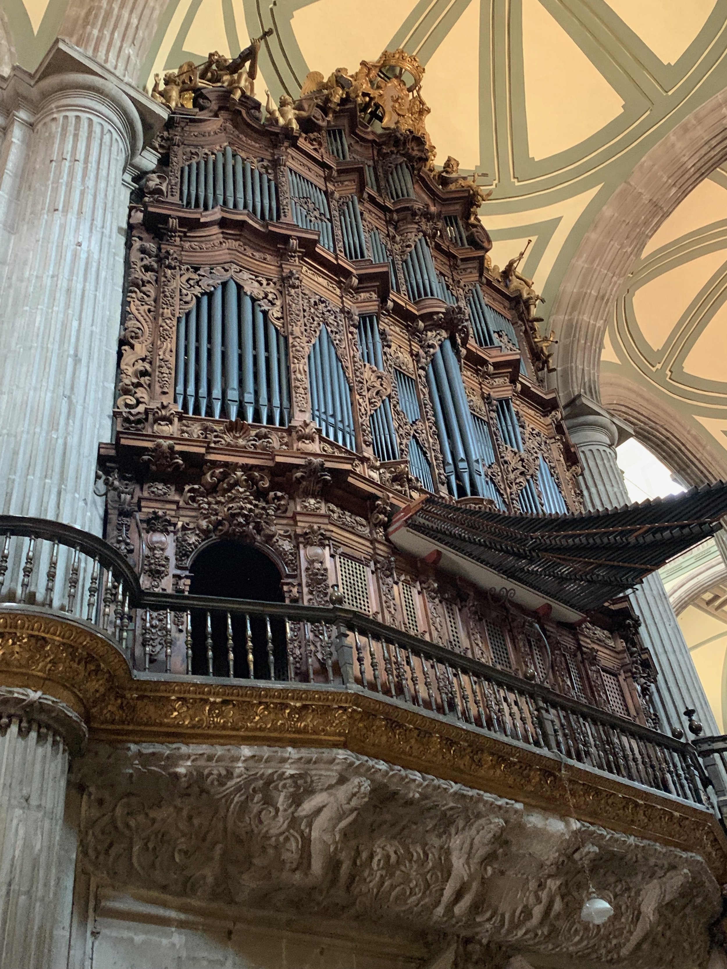 IMG_8367.jpeg