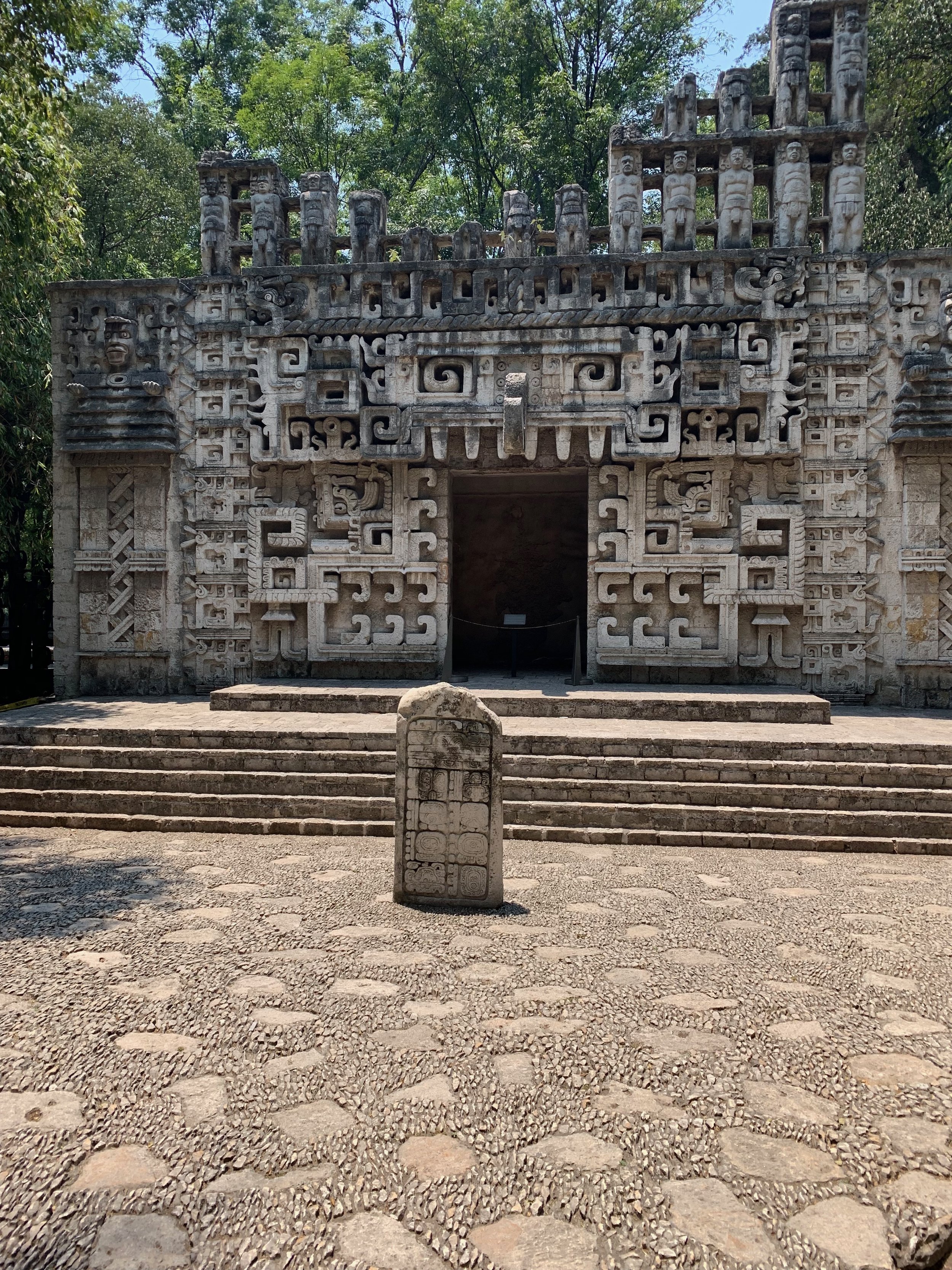 IMG_9051.jpeg