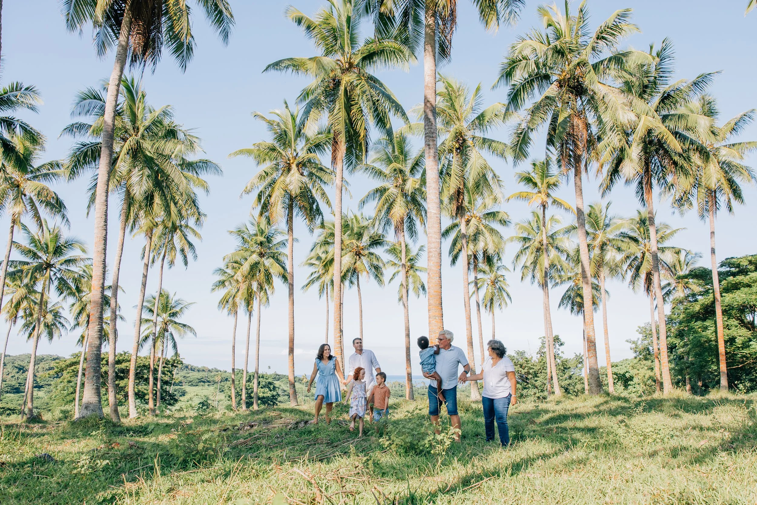 Palm Plantation Family Session | Hislop Family