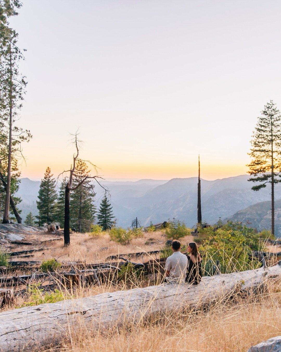 Yosemite engagement session for the books 🏔️✨ There&rsquo;s something about golden light, tall pines, and a sparkling ring that just hits different. We were traveling through Yosemite National Park and I couldn&rsquo;t resist capturing this sweet en