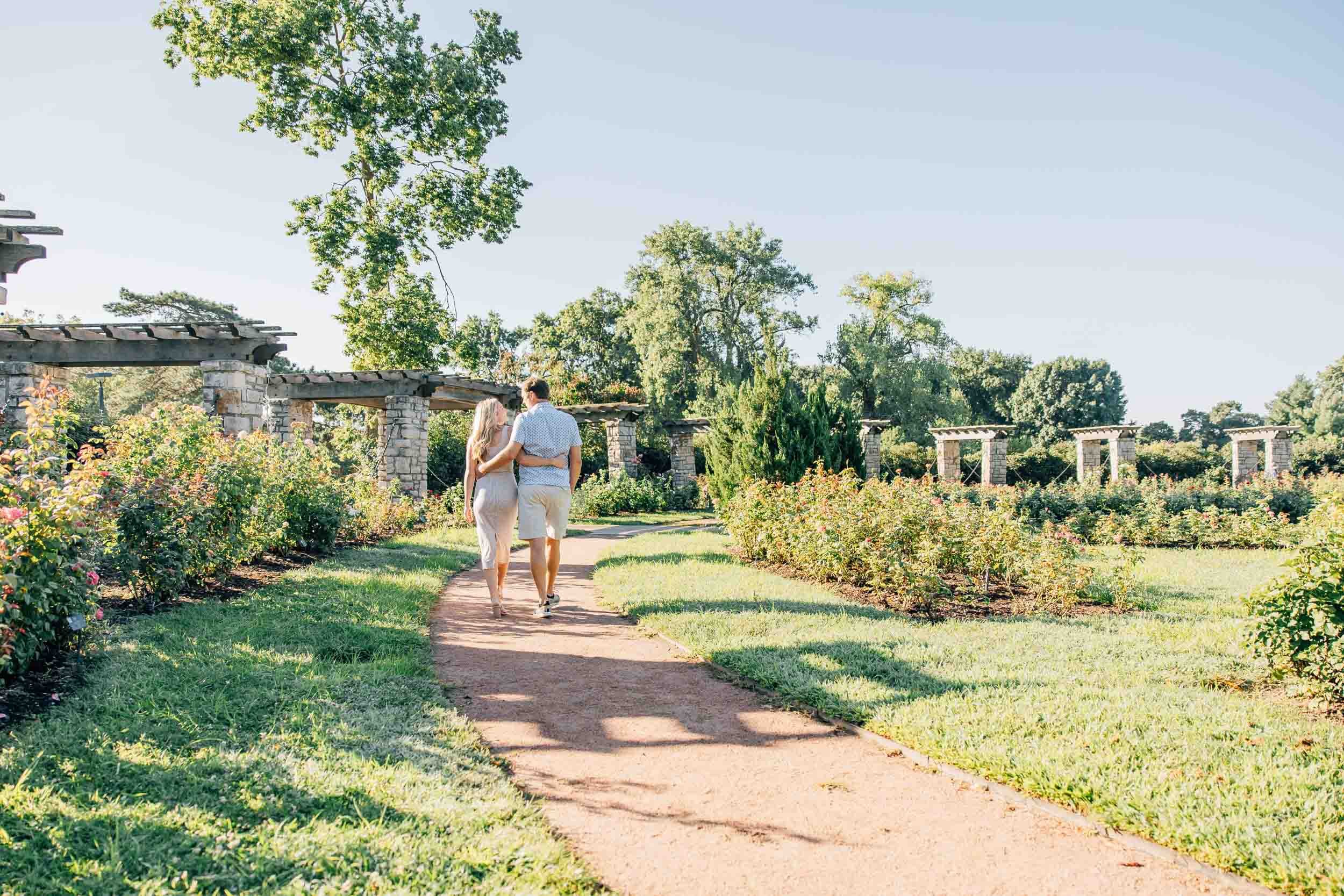 couple walking hand in hand down a garden path lined with roses, Loose Park Kansas City family photographer