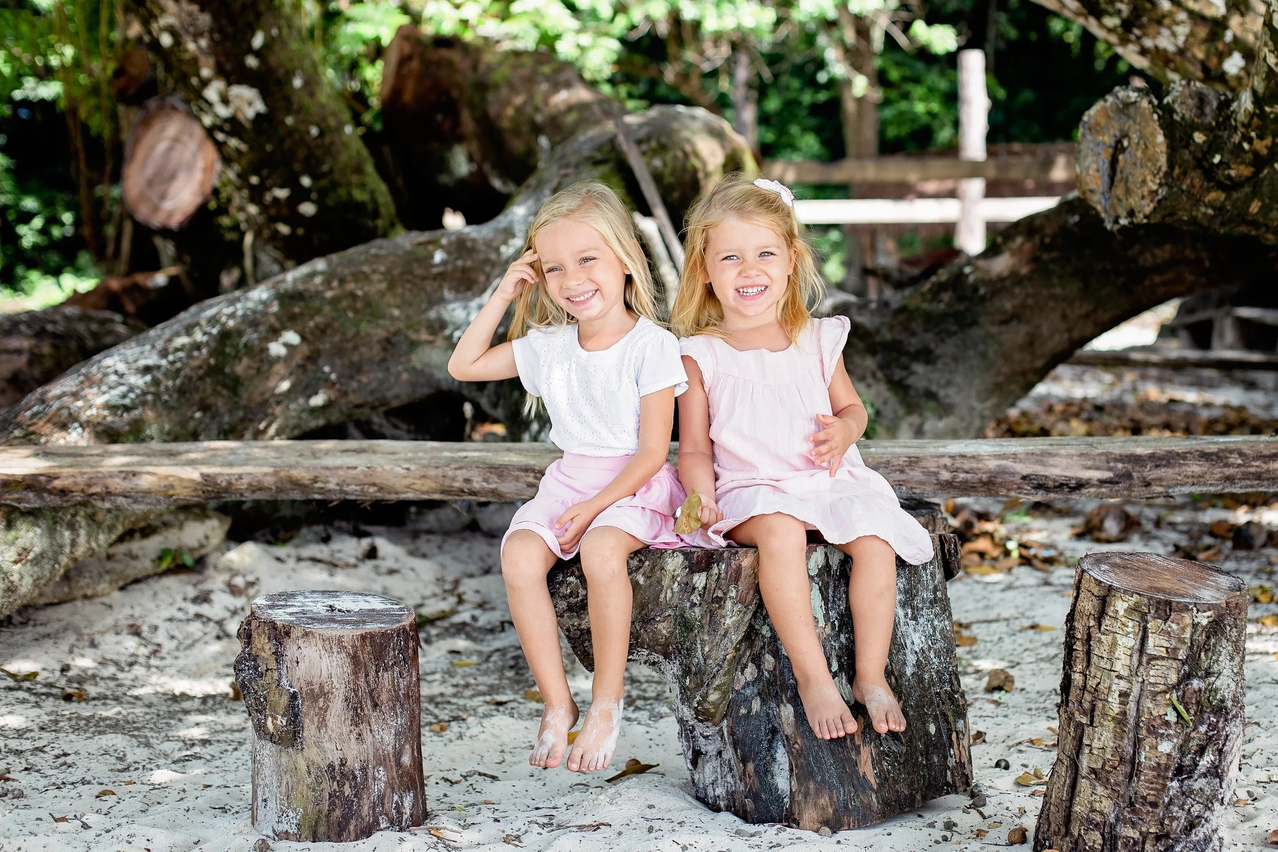 kids sitting on logs on a beach