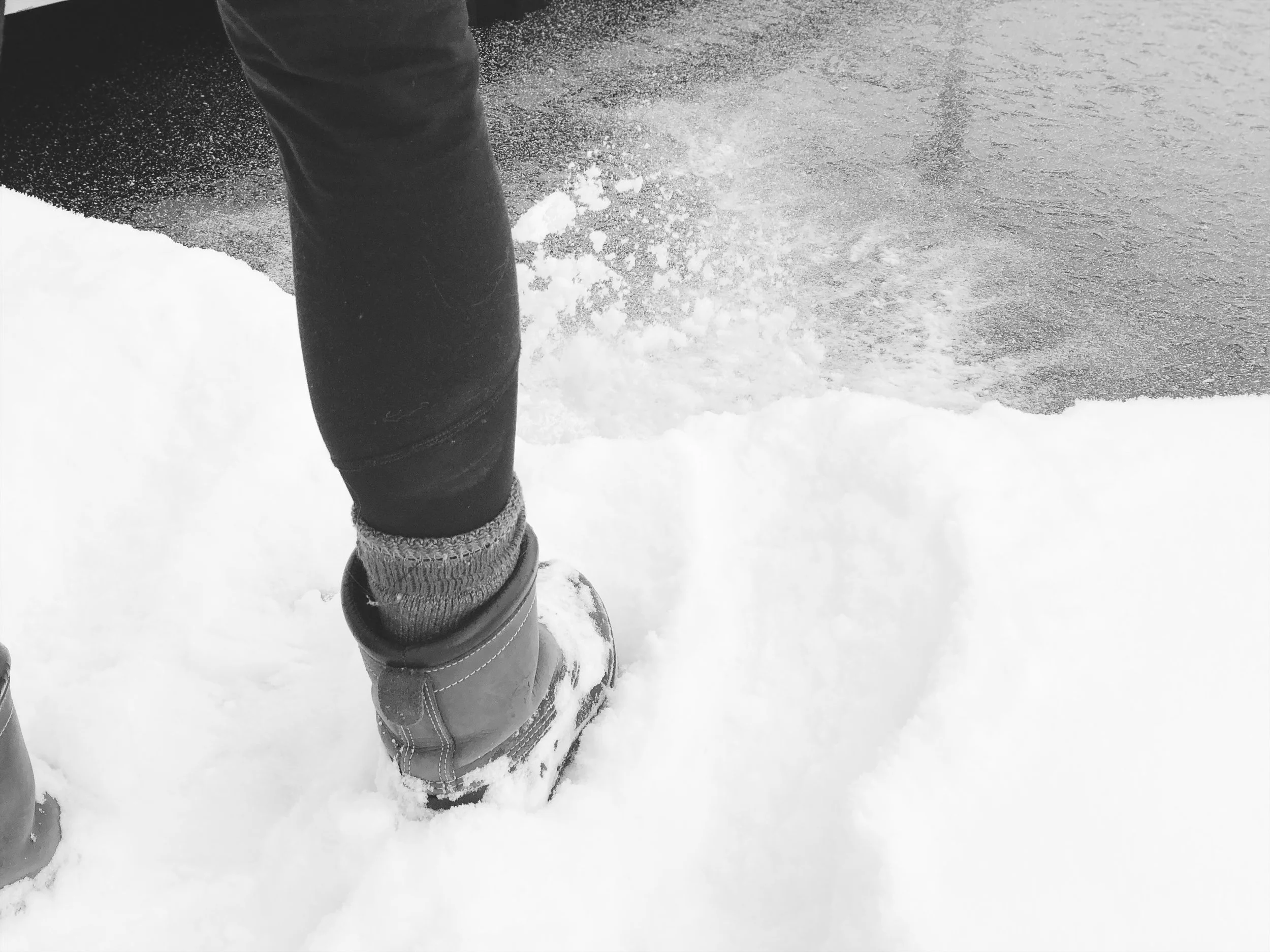 A9C7179C-53FA-440E-8941-BB6308C3660F 2.JPG