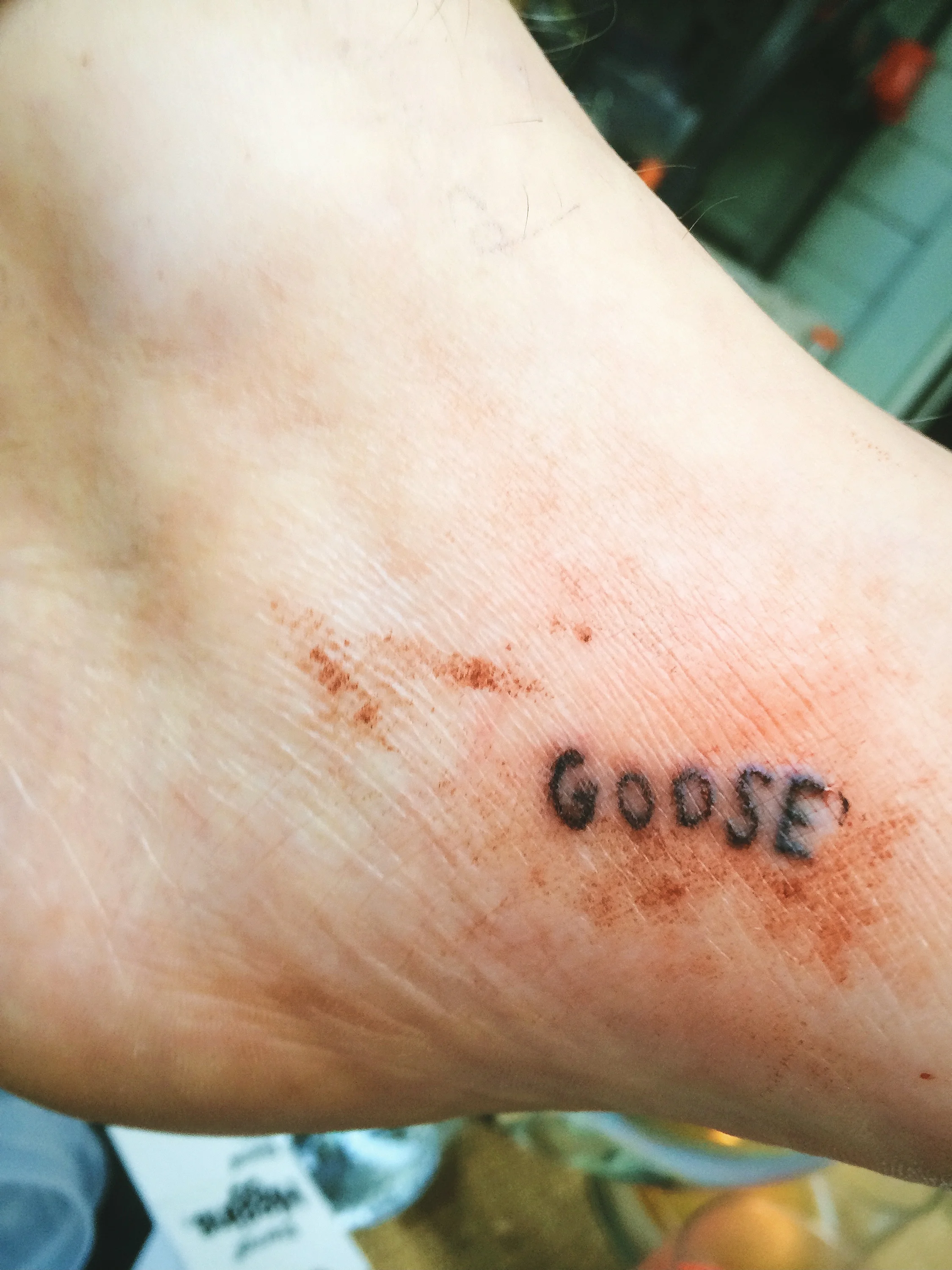 The GOOSE was Born