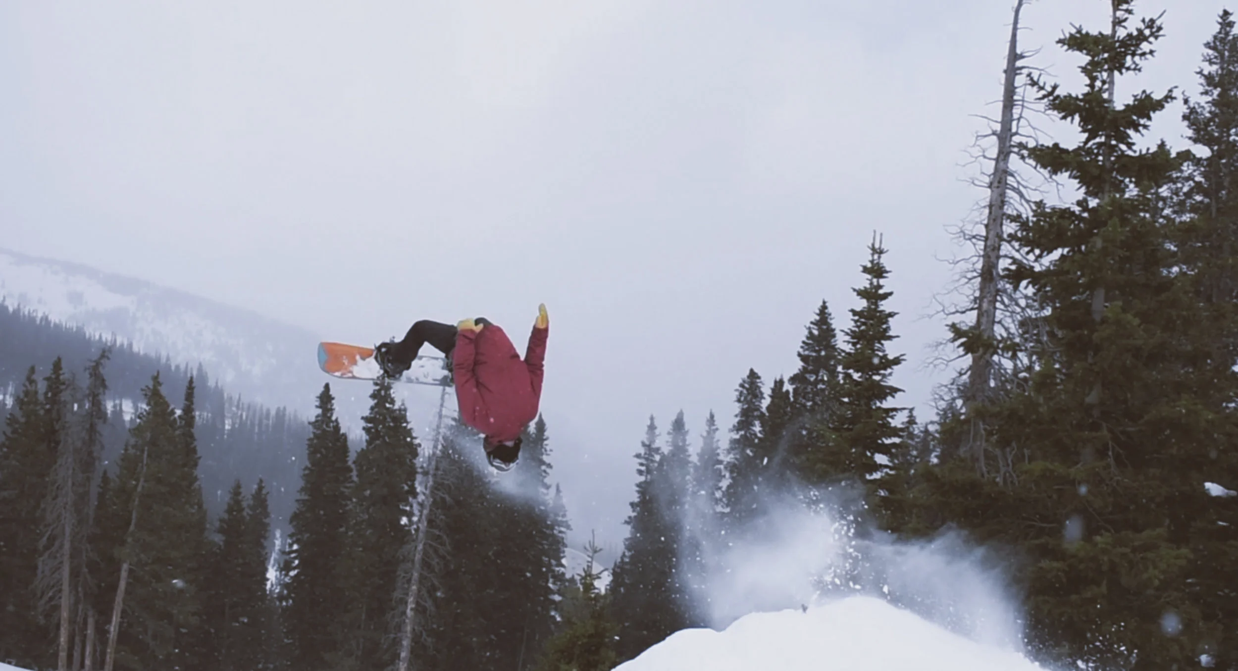 Screen Shot 2019-04-01 at 101050 PM.jpg