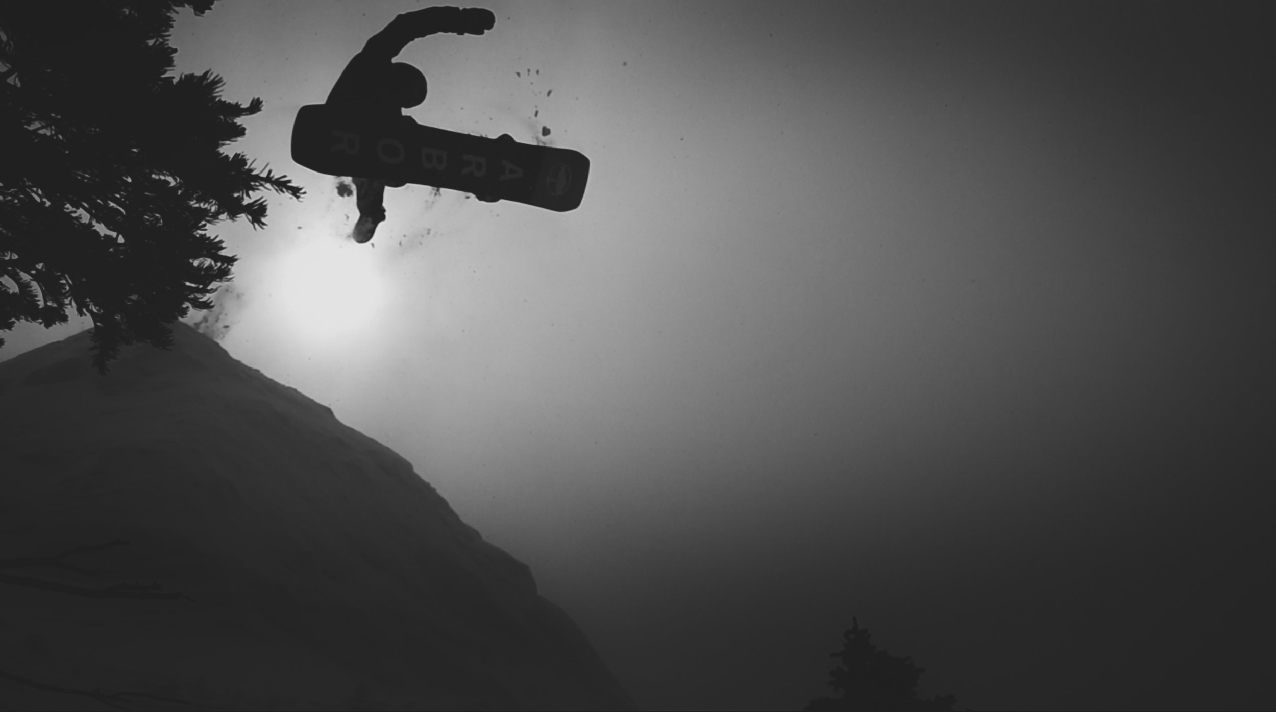 Screen Shot 2019-04-01 at 101208 PM.jpg