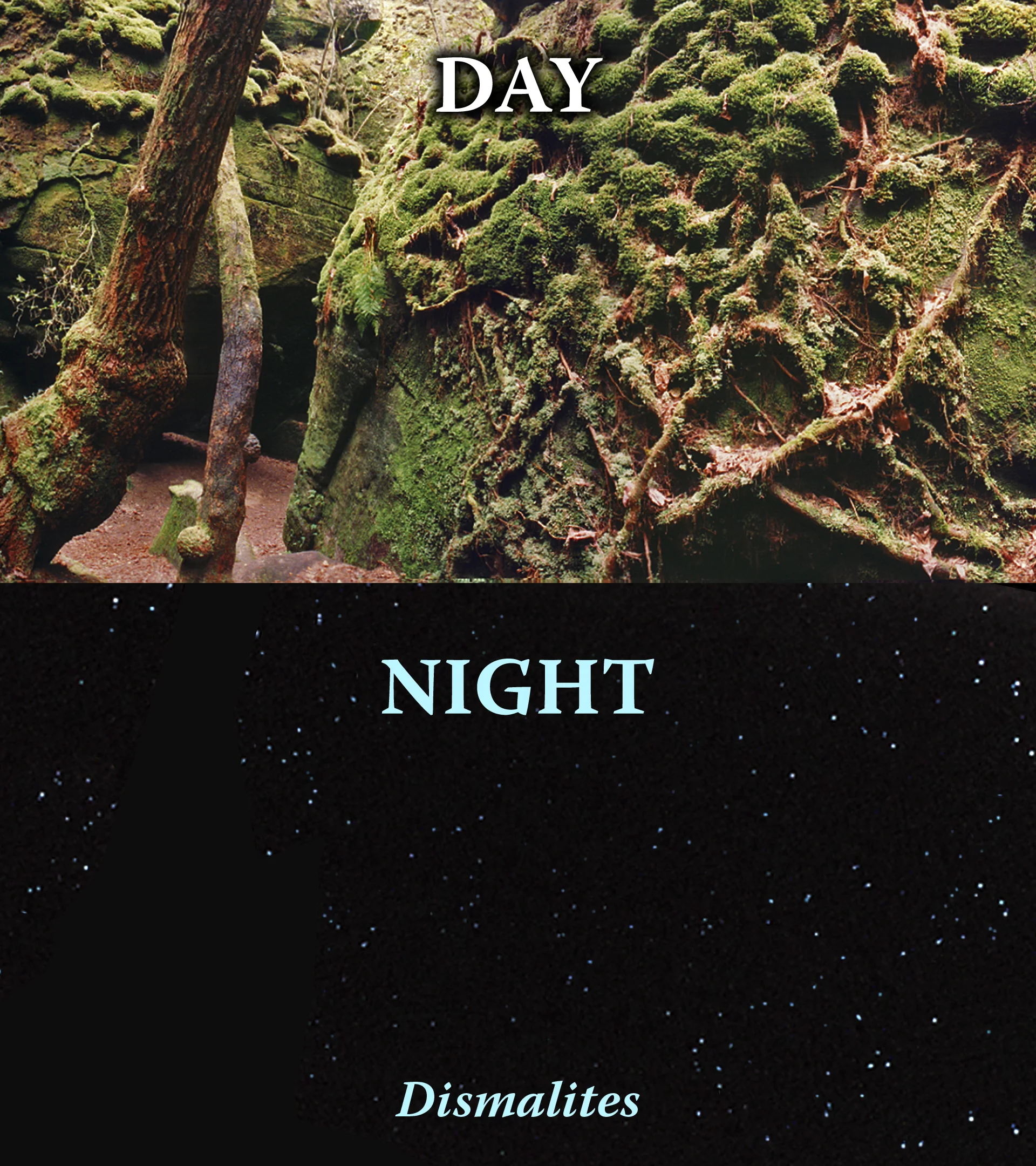 night day HD.jpg